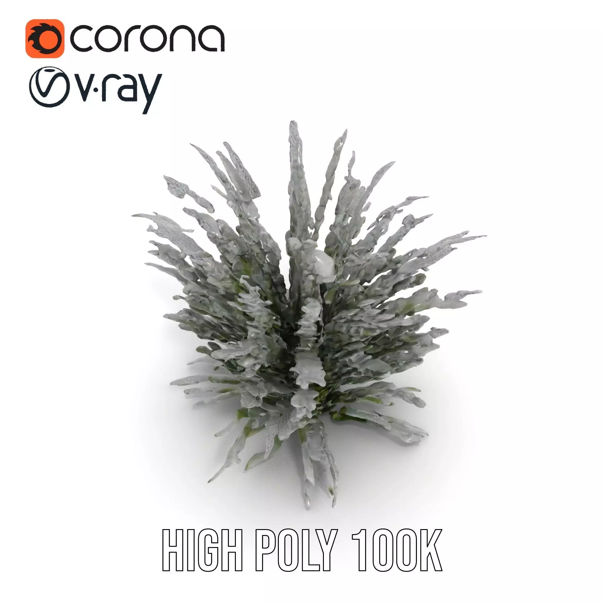 Lavender Fern model pack Low-poly 3D model_16