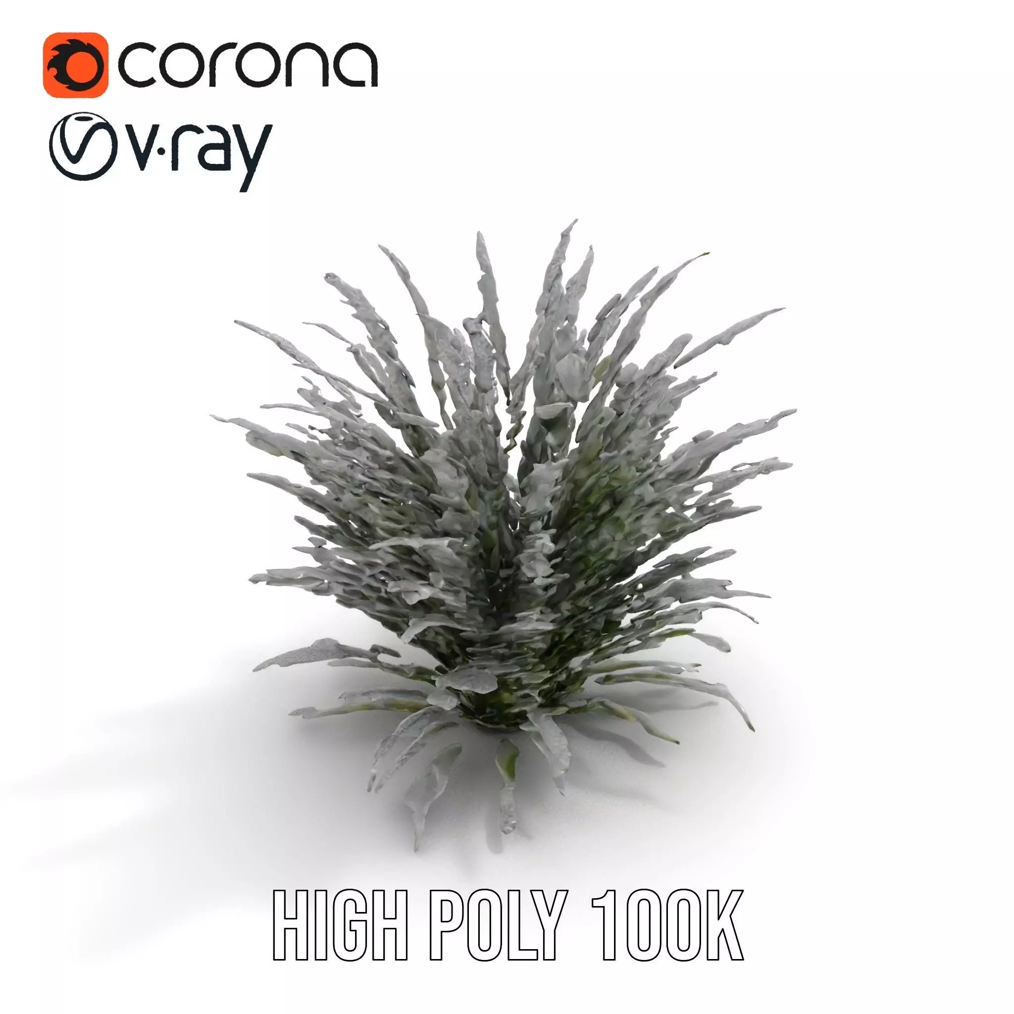 Lavender Fern model pack Low-poly 3D model_28
