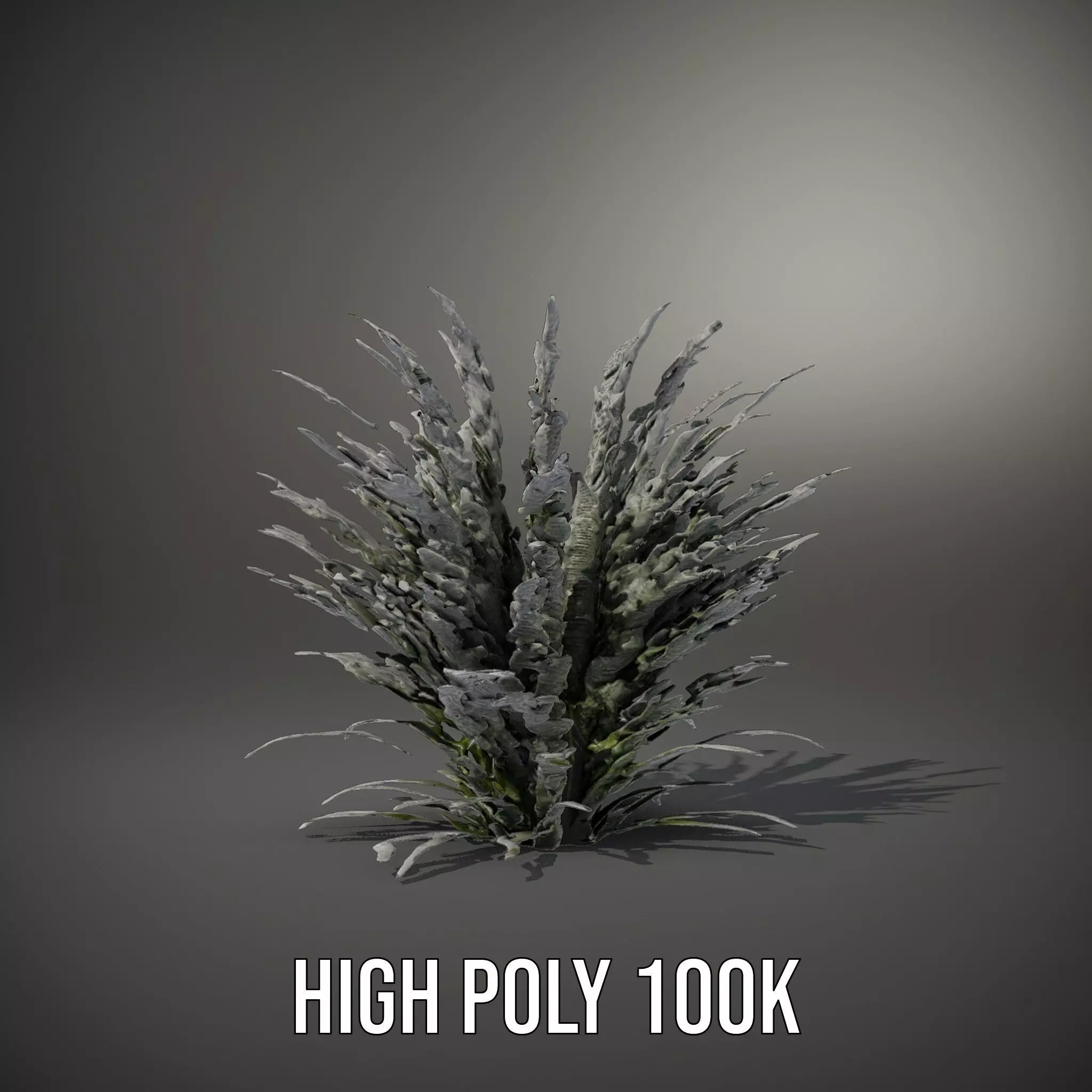 Lavender Fern model pack Low-poly 3D model_10
