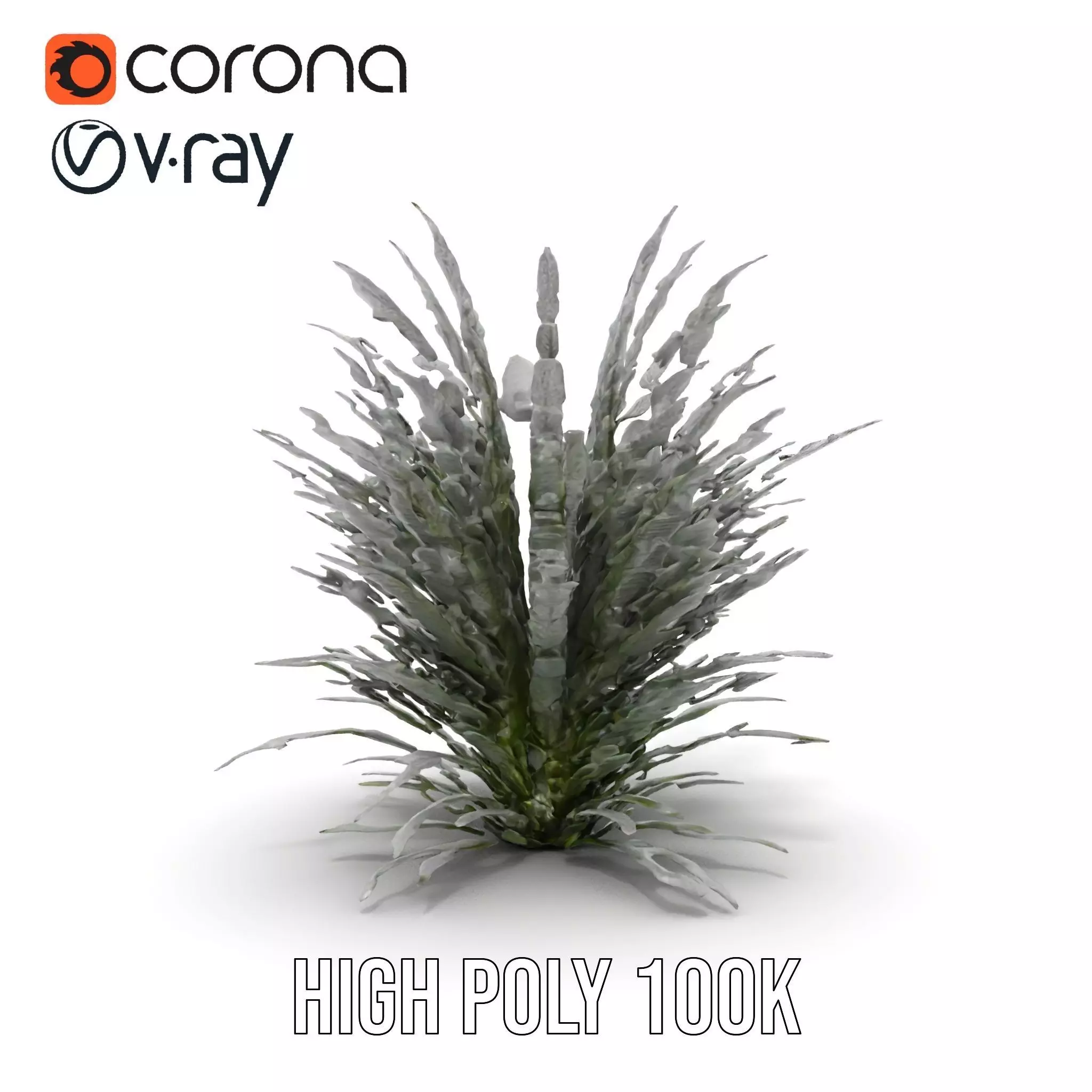 Lavender Fern model pack Low-poly 3D model_25