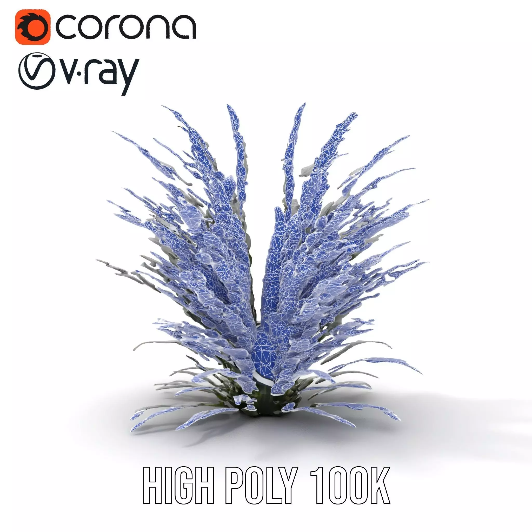 Lavender Fern model pack Low-poly 3D model_20