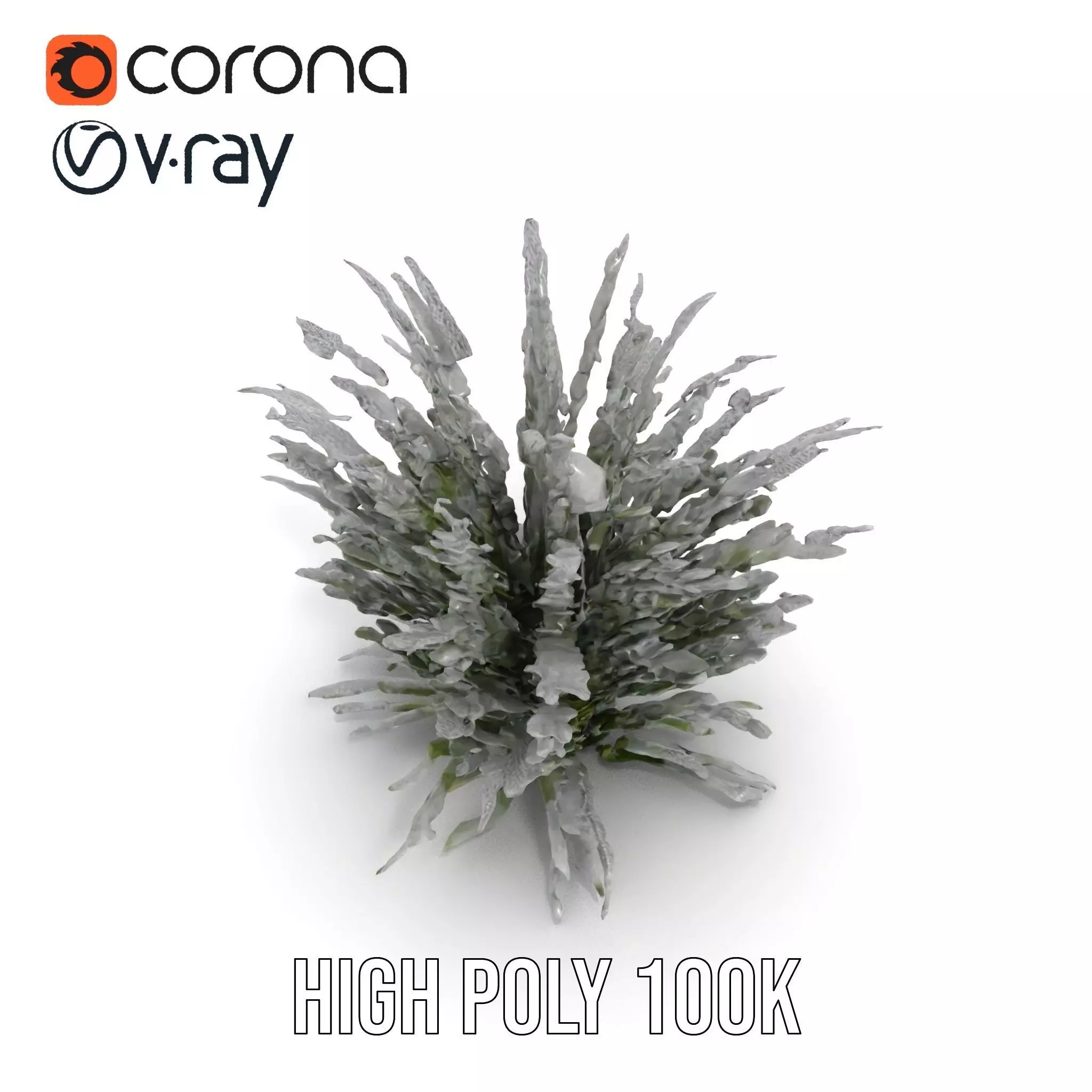 Lavender Fern model pack Low-poly 3D model_6