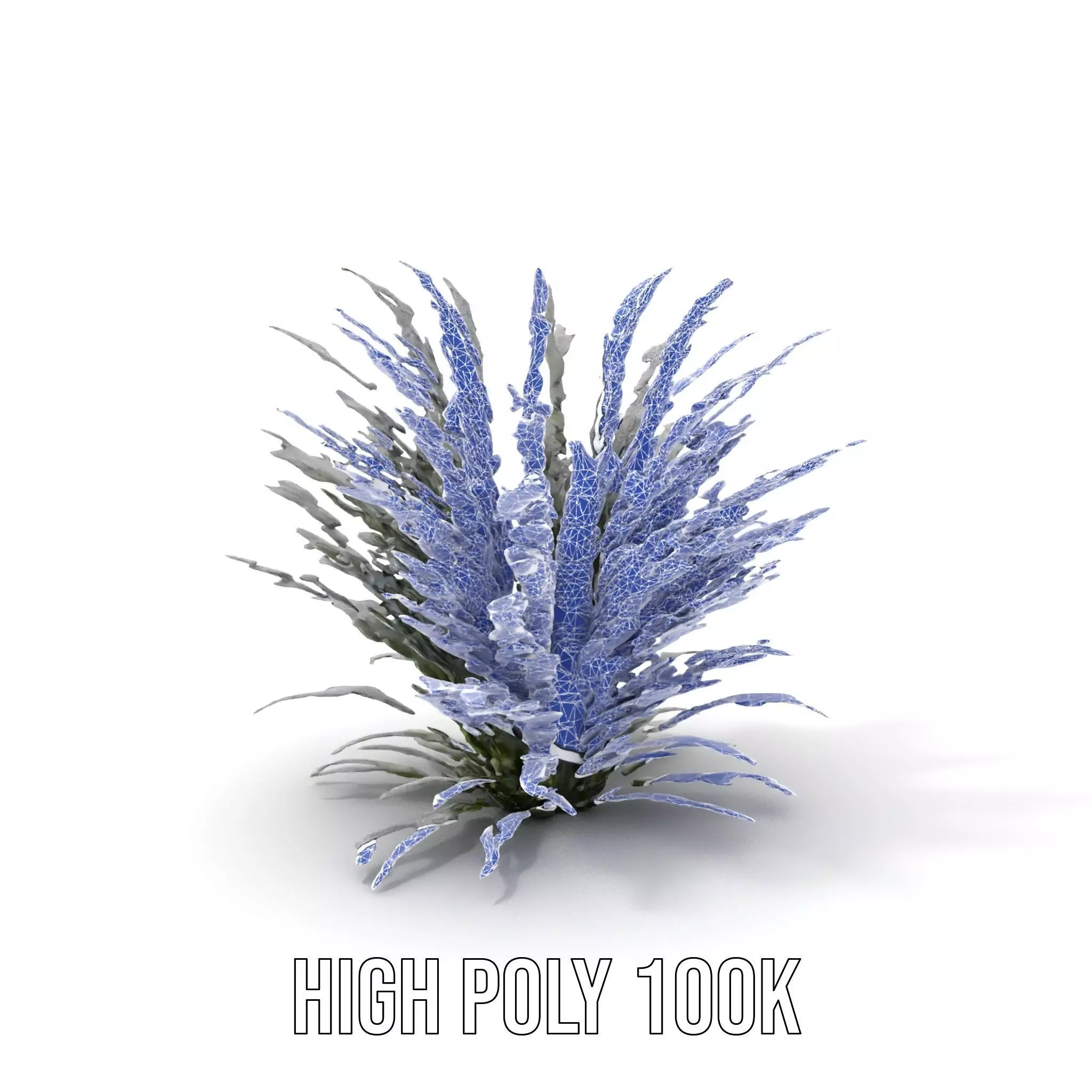 Lavender Fern model pack Low-poly 3D model_12