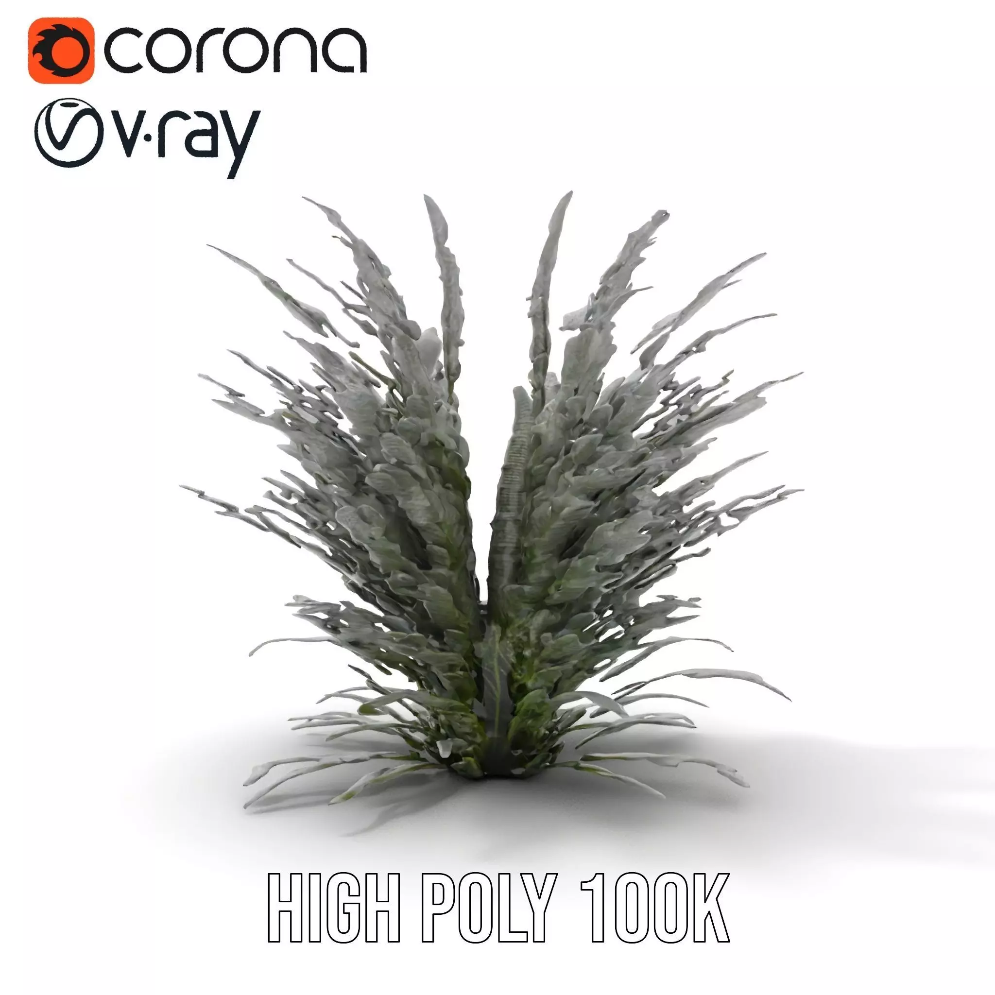 Lavender Fern model pack Low-poly 3D model_21