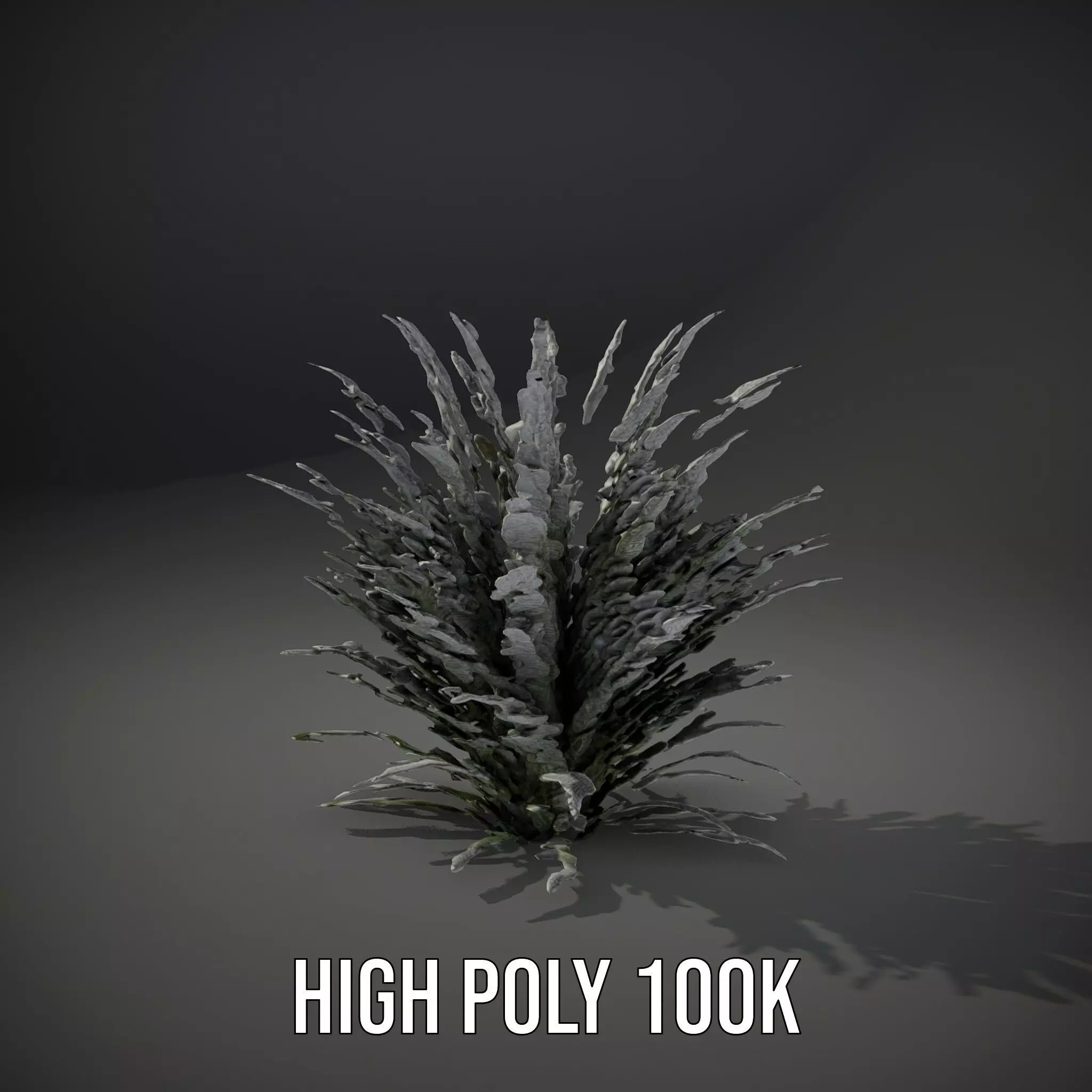 Lavender Fern model pack Low-poly 3D model_8