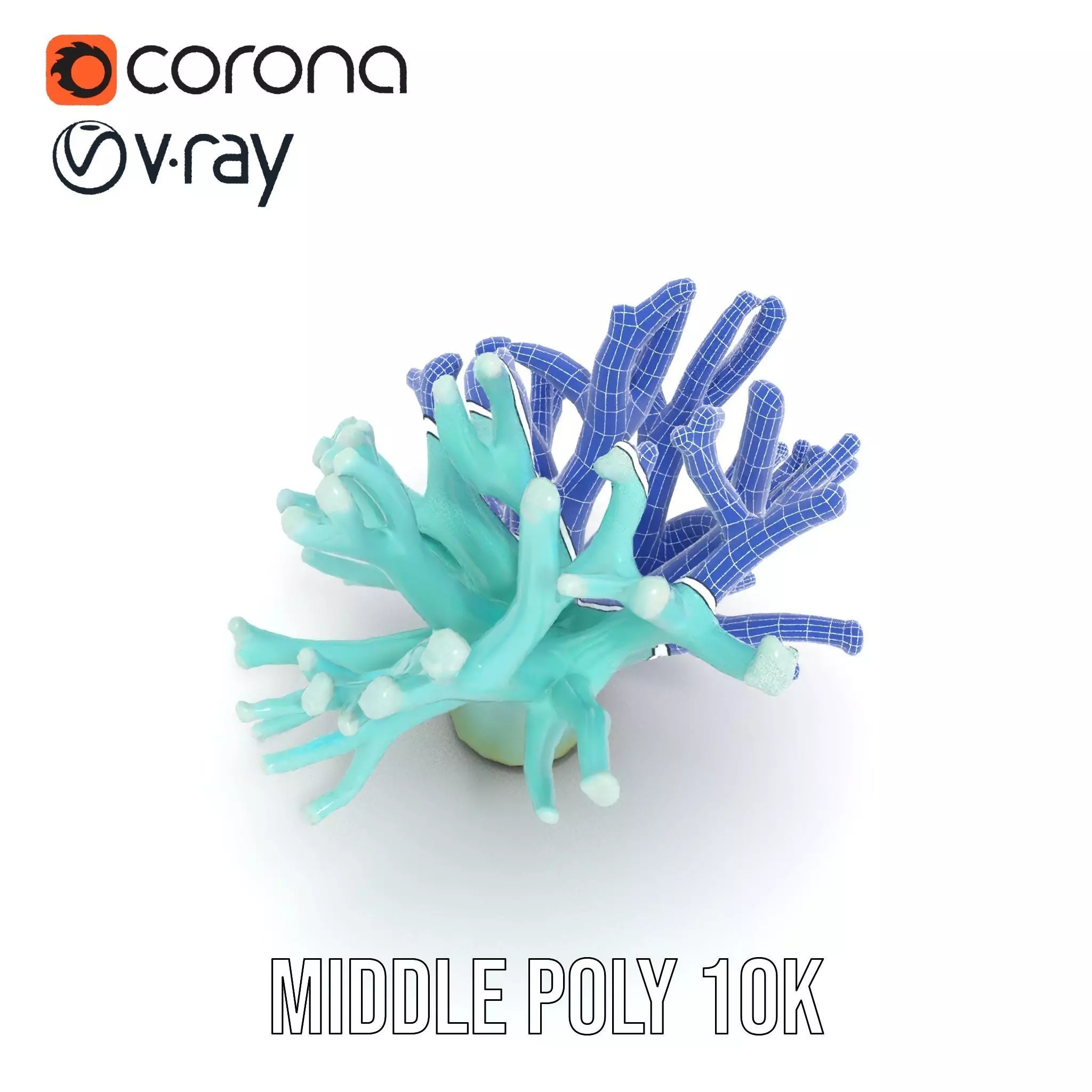 Mint Coral Reef model pack Low-poly 3D model_13