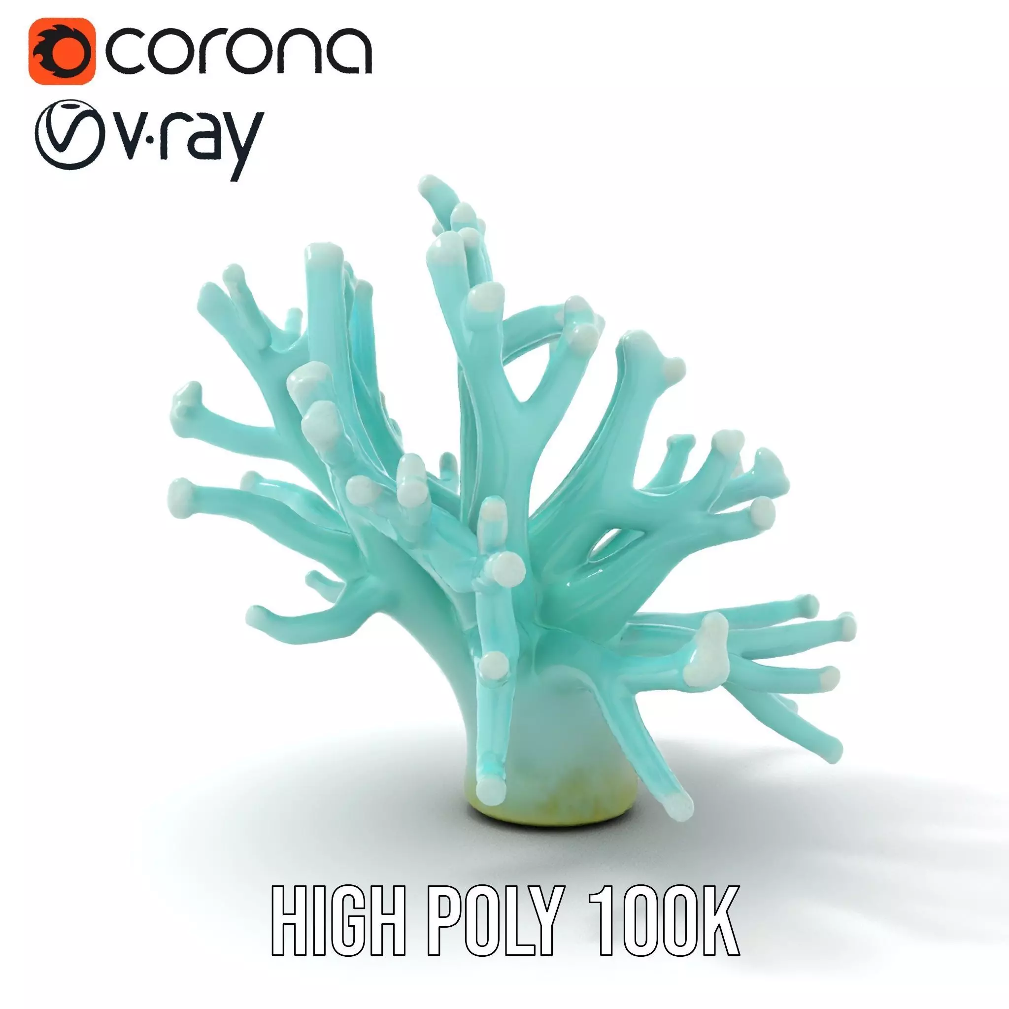 Mint Coral Reef model pack Low-poly 3D model_20