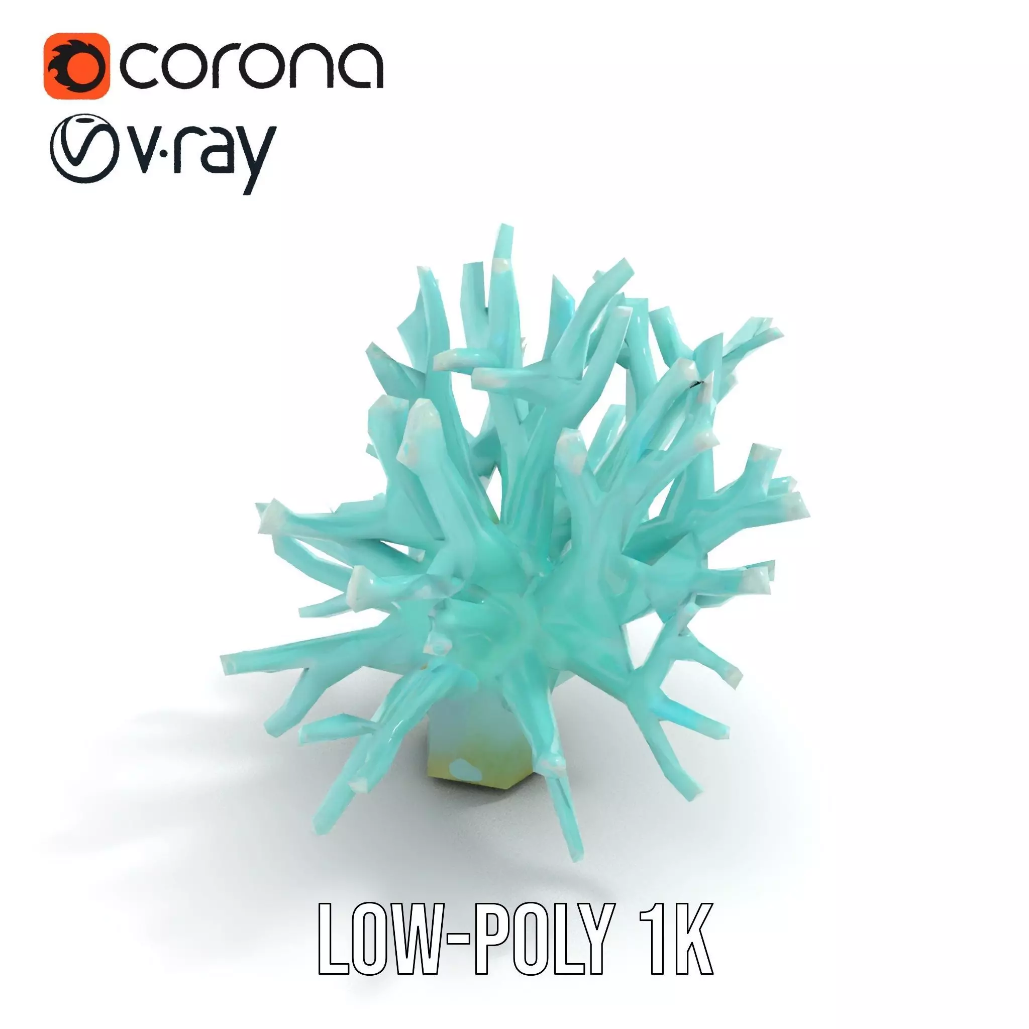 Mint Coral Reef model pack Low-poly 3D model_22