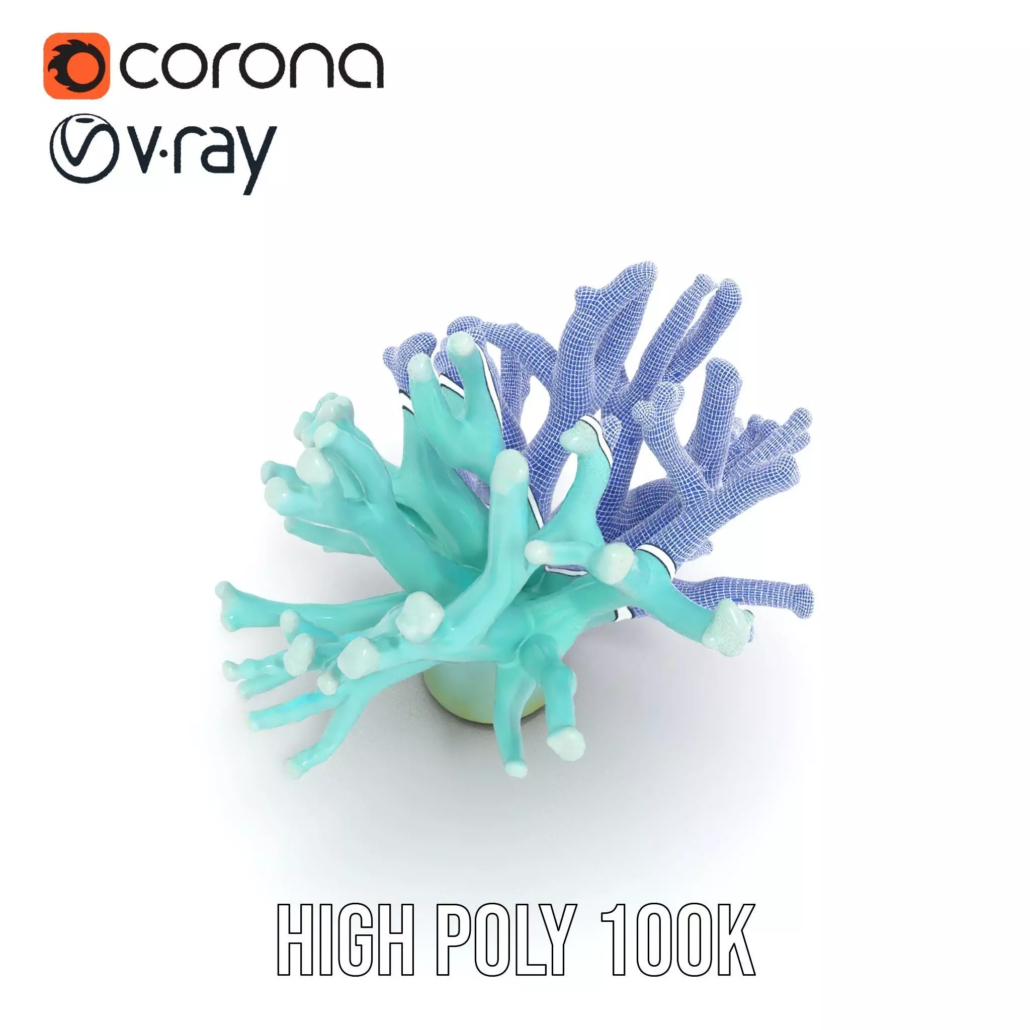 Mint Coral Reef model pack Low-poly 3D model_33