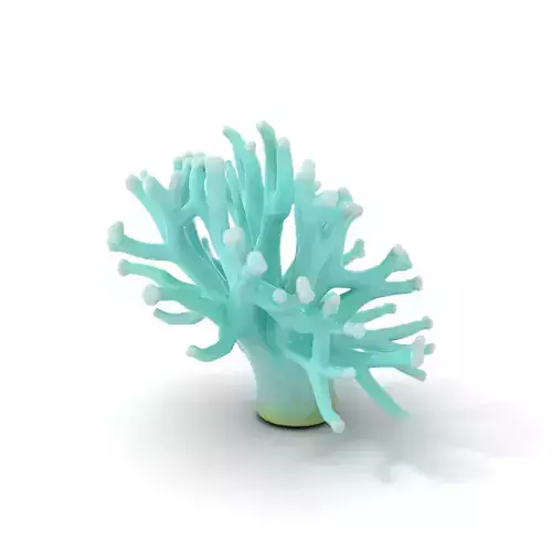 Mint Coral Reef model pack Low-poly 3D model