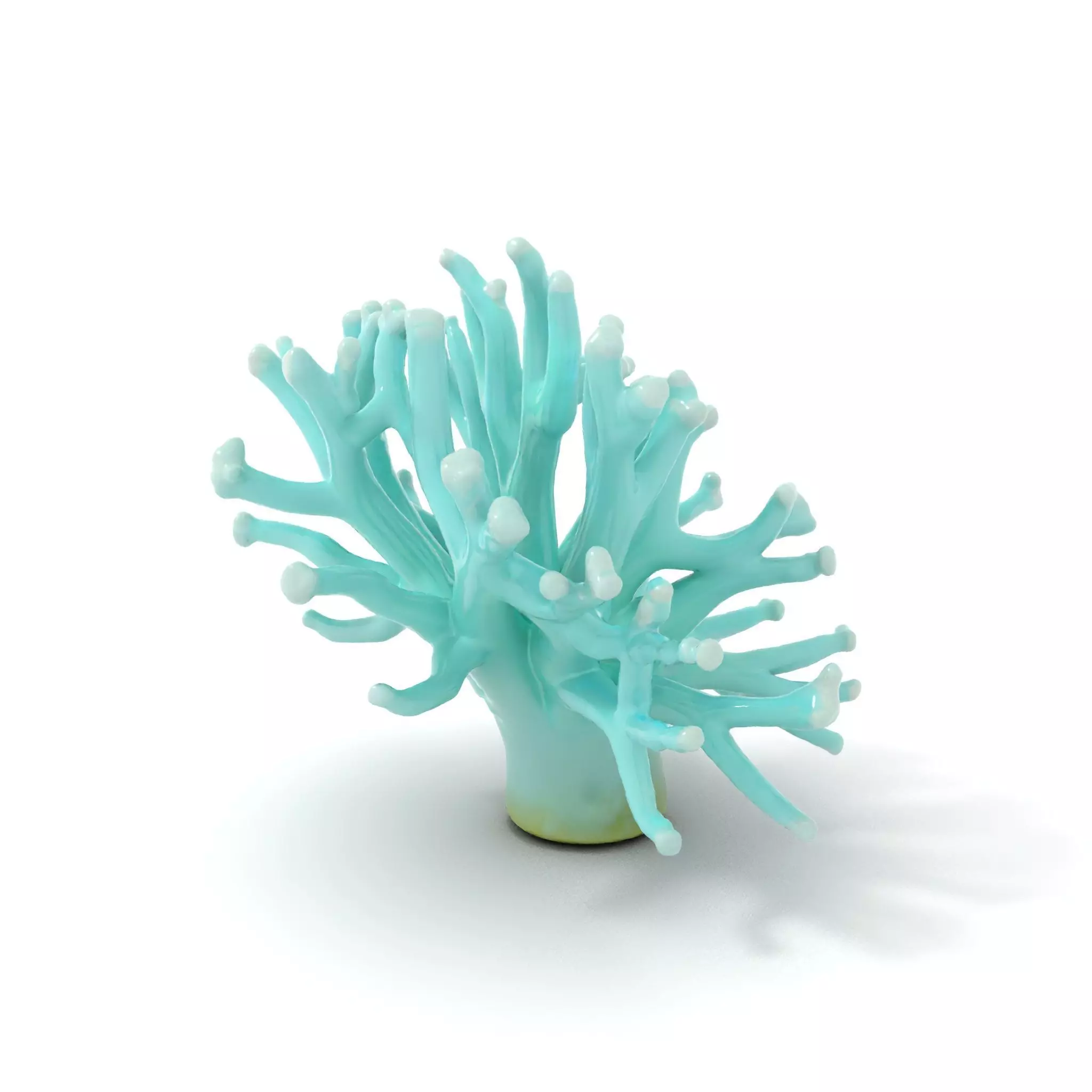 Mint Coral Reef model pack Low-poly 3D model_0