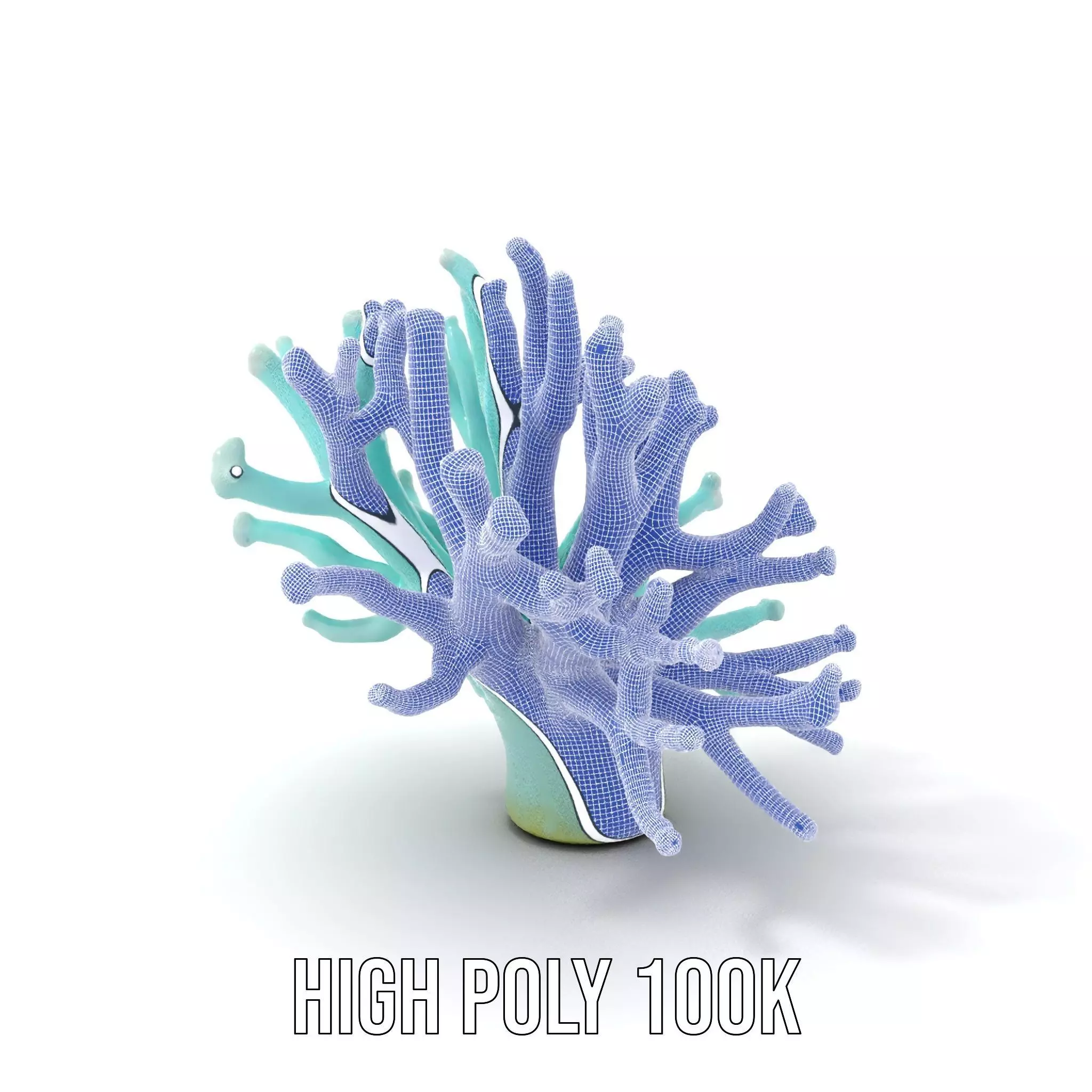 Mint Coral Reef model pack Low-poly 3D model_4