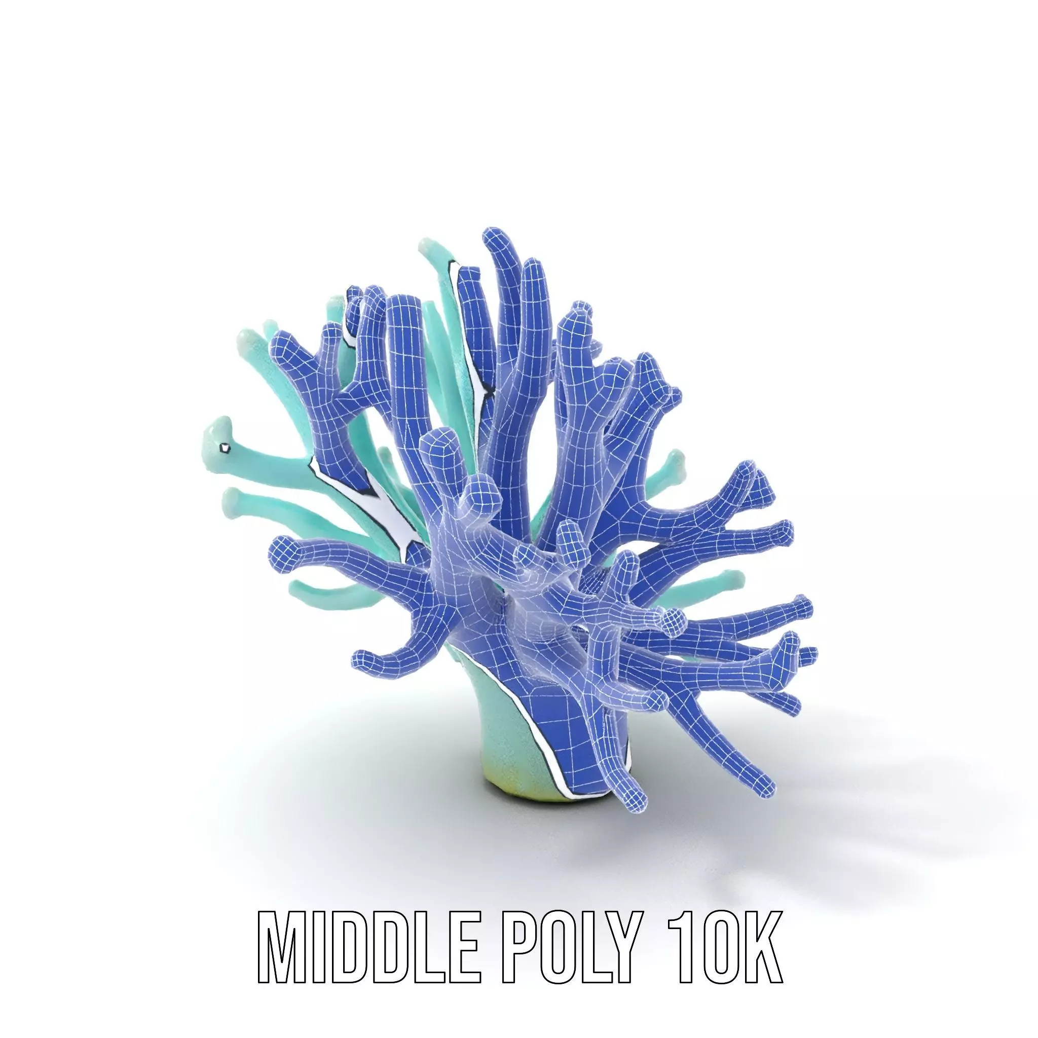 Mint Coral Reef model pack Low-poly 3D model_18