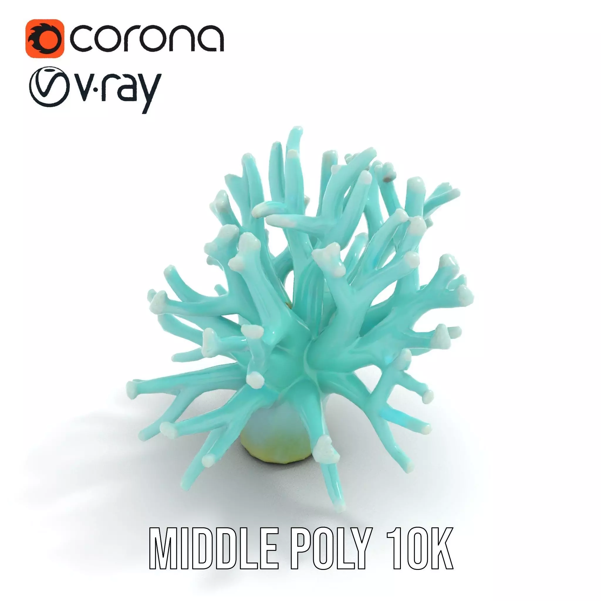 Mint Coral Reef model pack Low-poly 3D model_11
