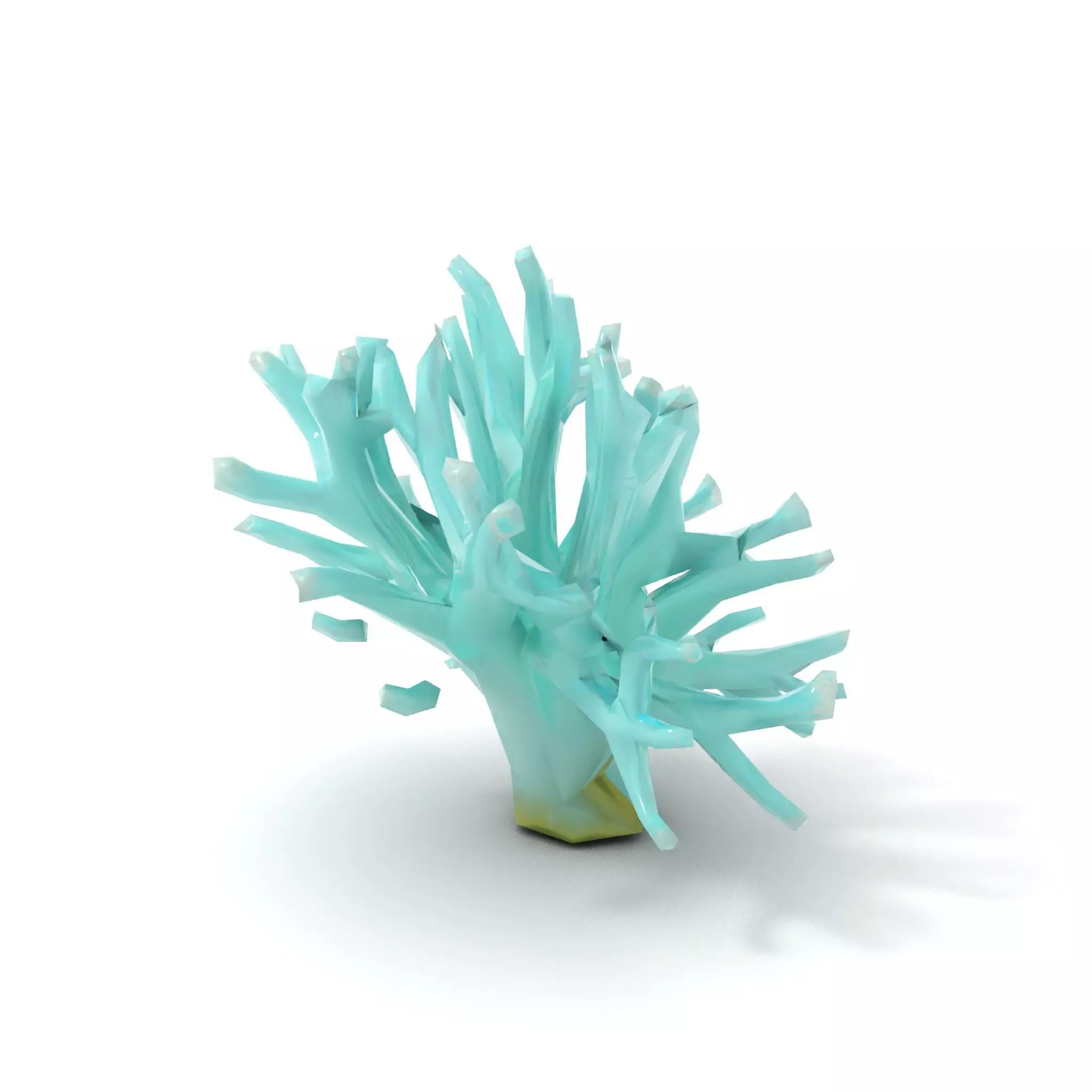 Mint Coral Reef model pack Low-poly 3D model_7