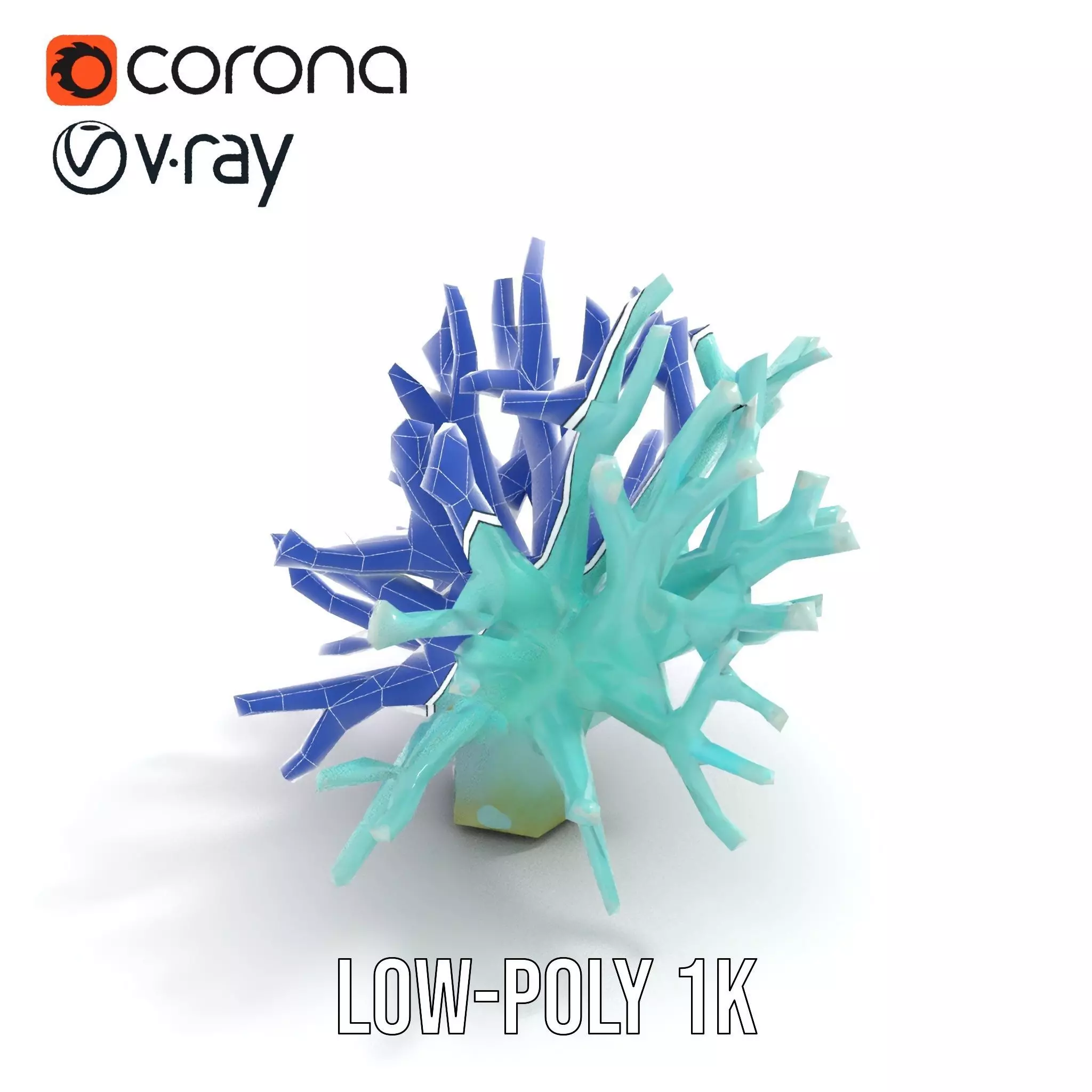 Mint Coral Reef model pack Low-poly 3D model_24