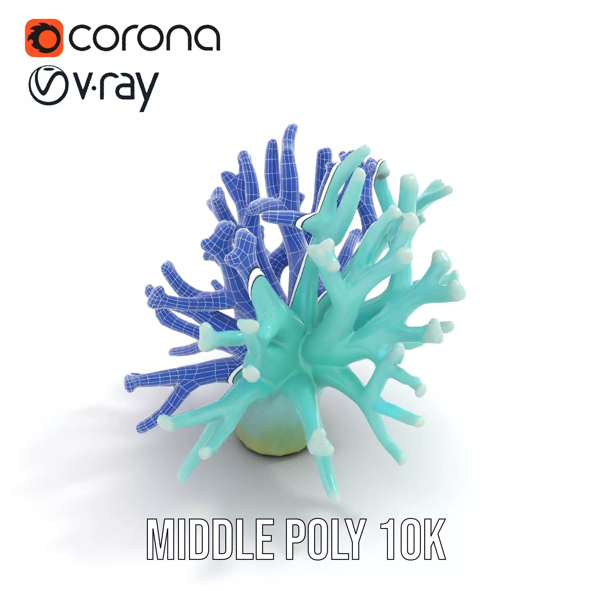 Mint Coral Reef model pack Low-poly 3D model_5