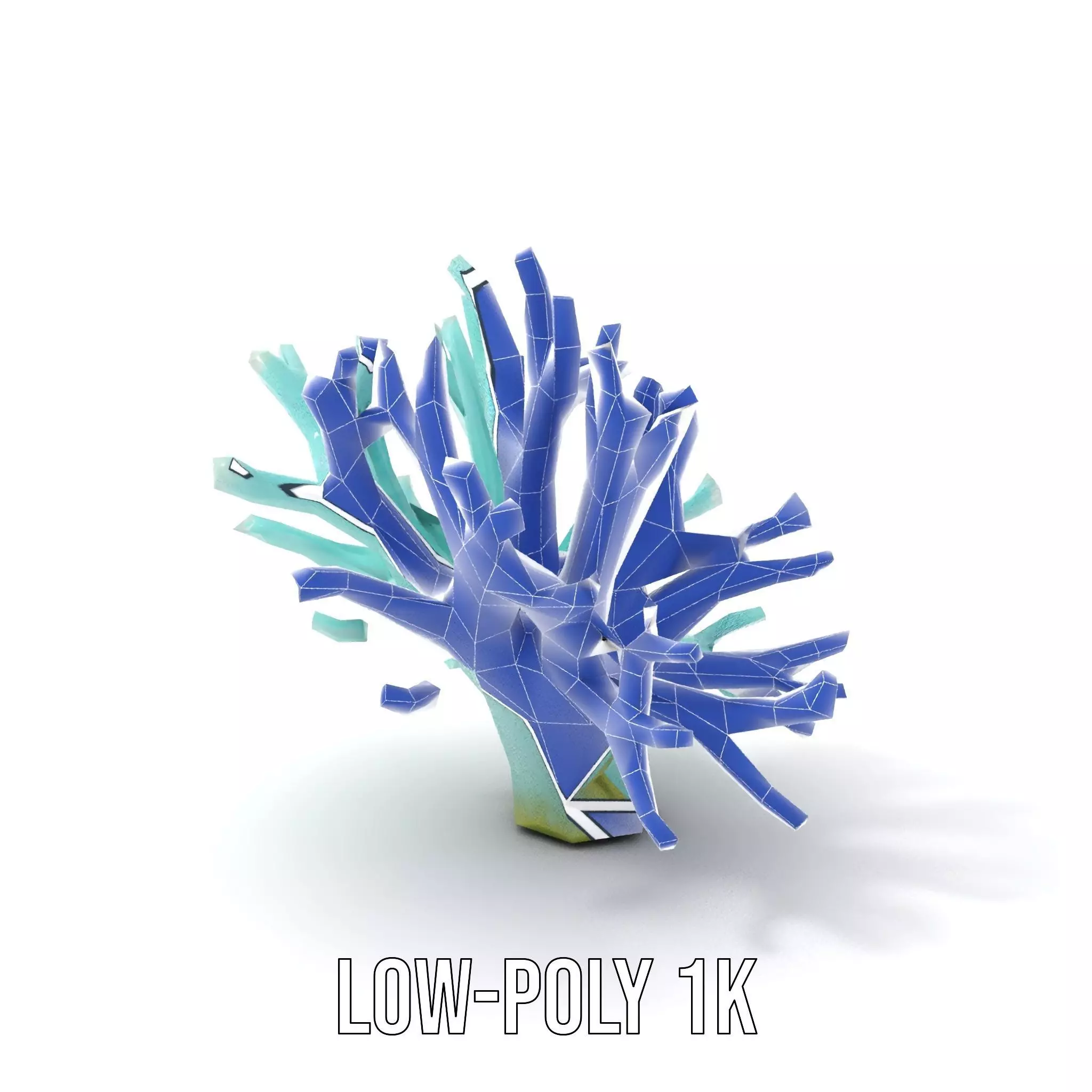 Mint Coral Reef model pack Low-poly 3D model_14