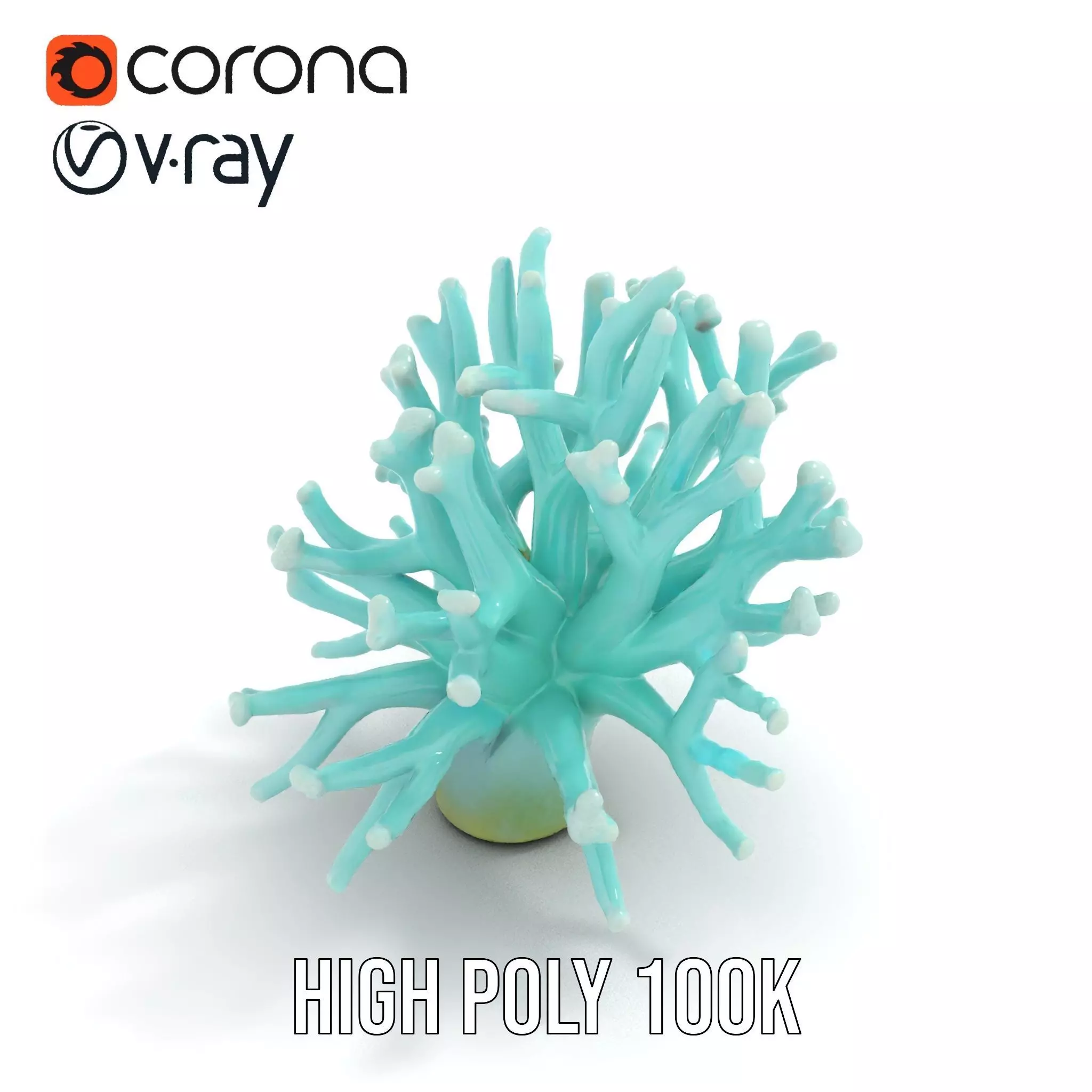 Mint Coral Reef model pack Low-poly 3D model_28