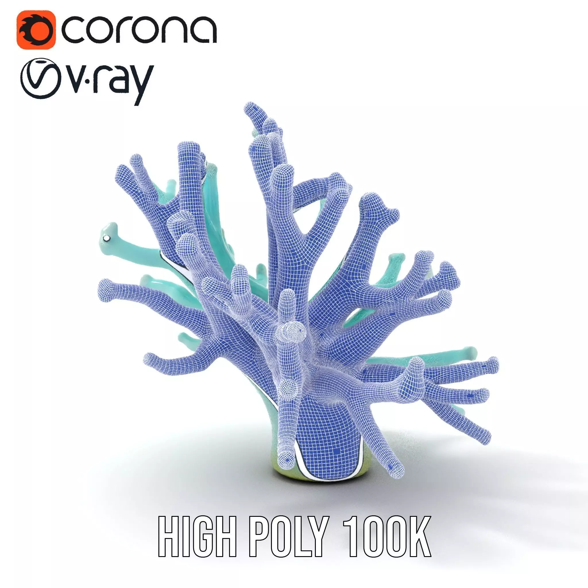 Mint Coral Reef model pack Low-poly 3D model_34
