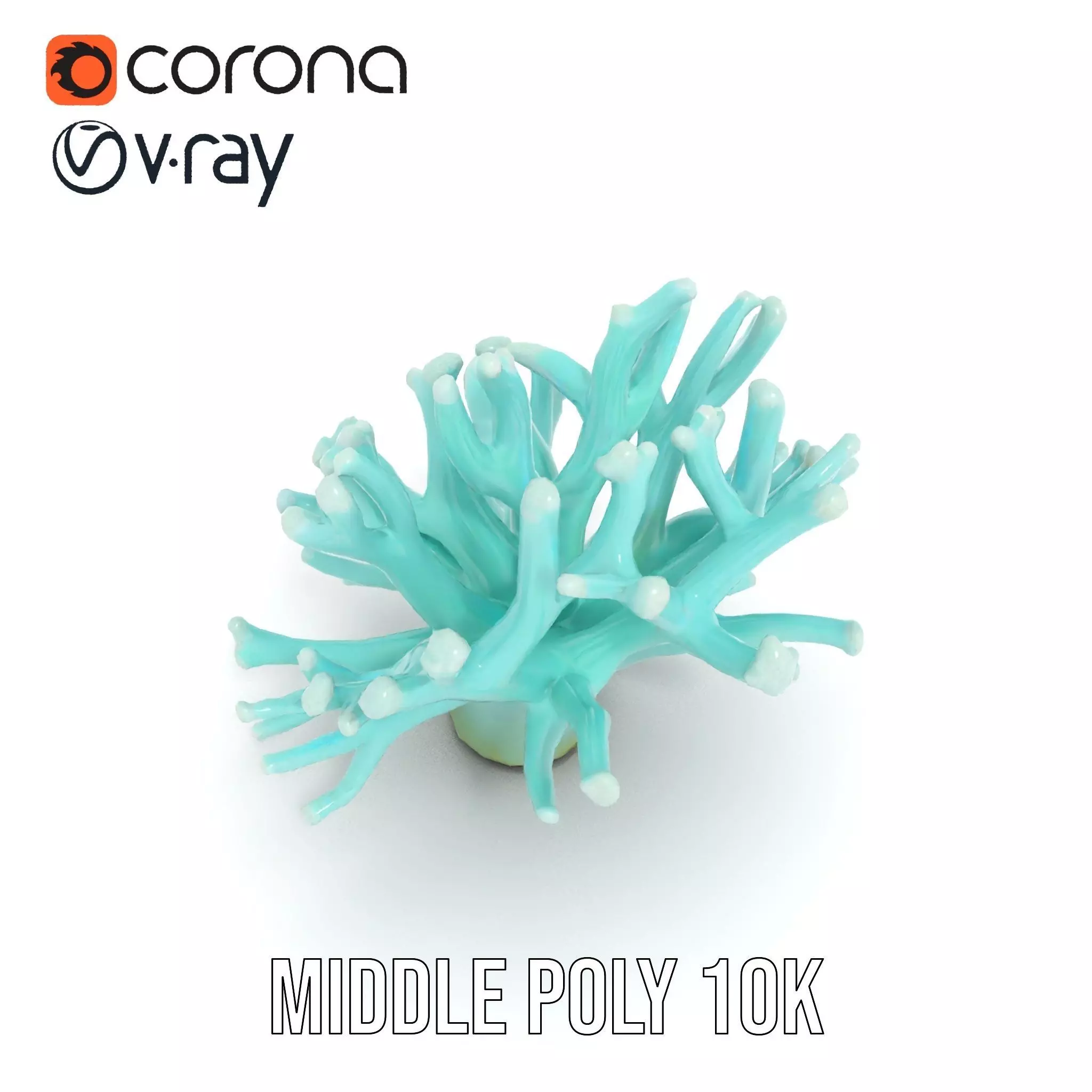 Mint Coral Reef model pack Low-poly 3D model_6