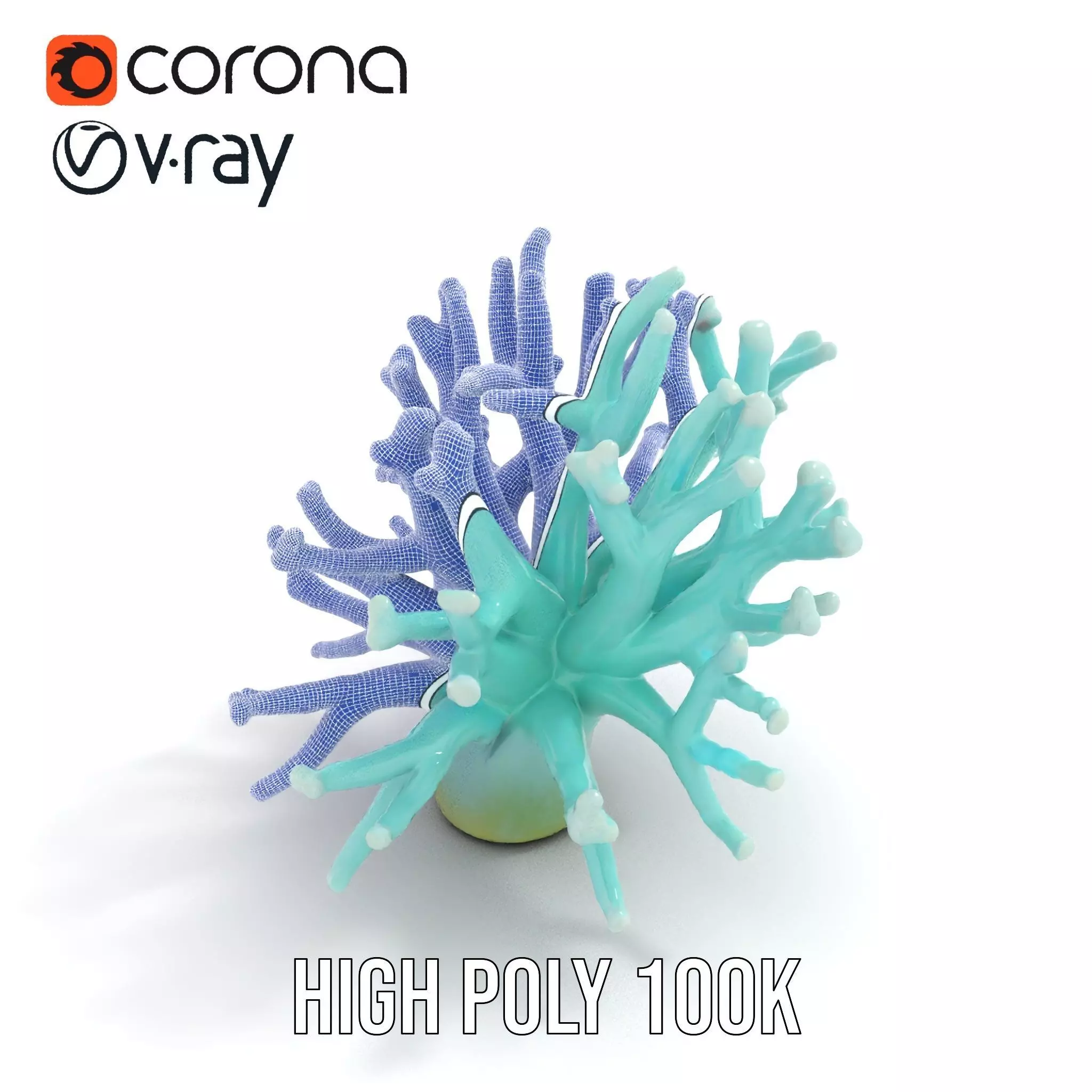 Mint Coral Reef model pack Low-poly 3D model_25