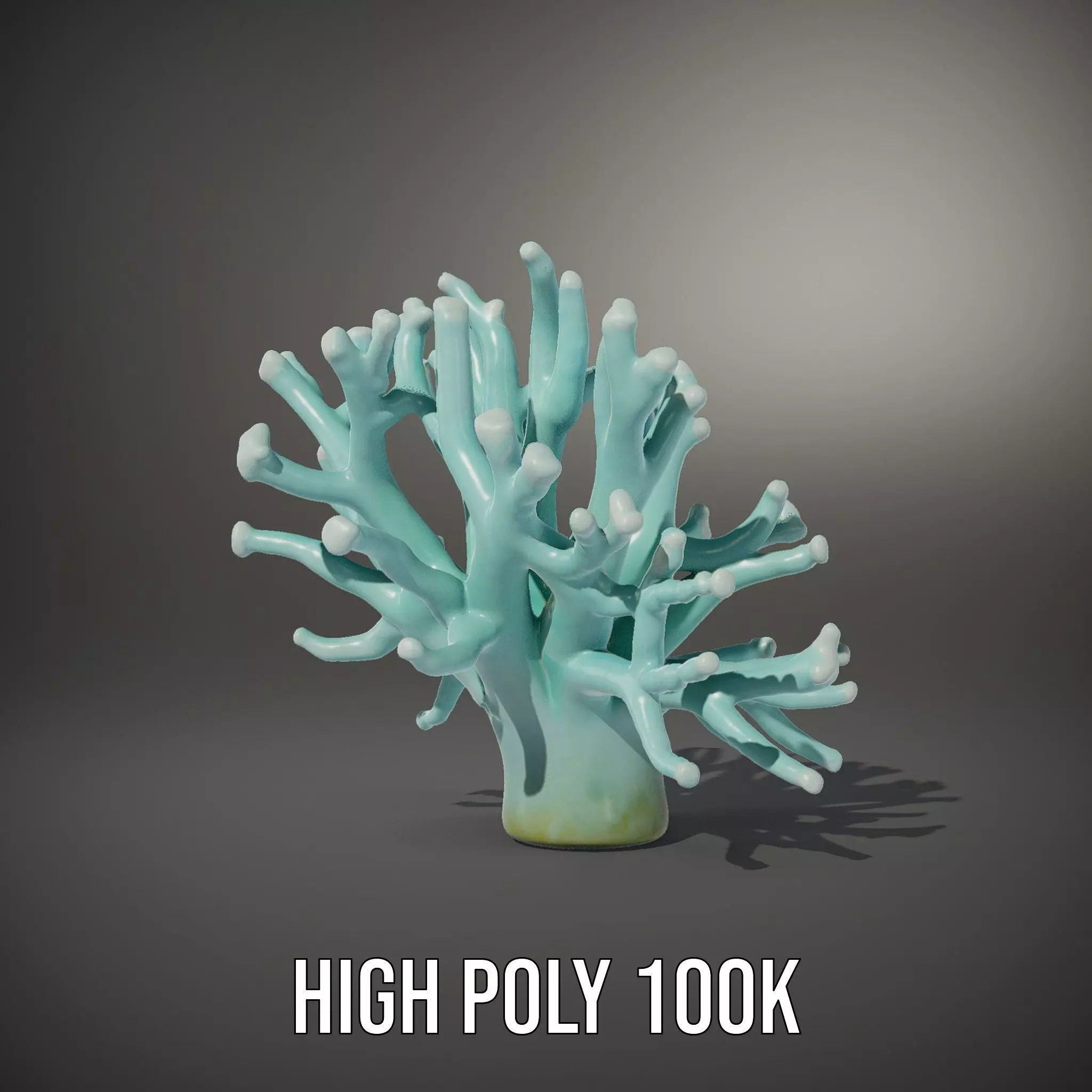 Mint Coral Reef model pack Low-poly 3D model_8