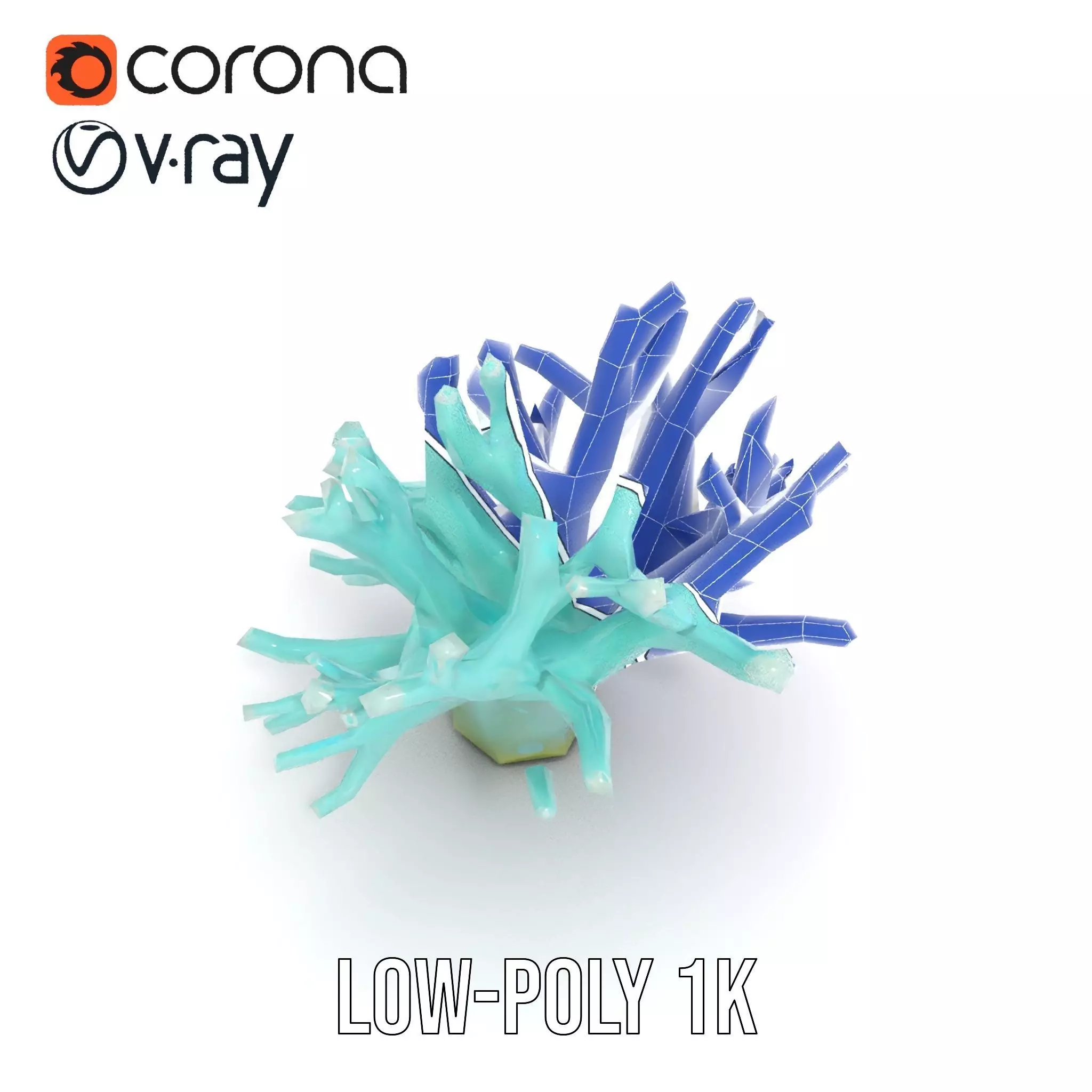 Mint Coral Reef model pack Low-poly 3D model_19
