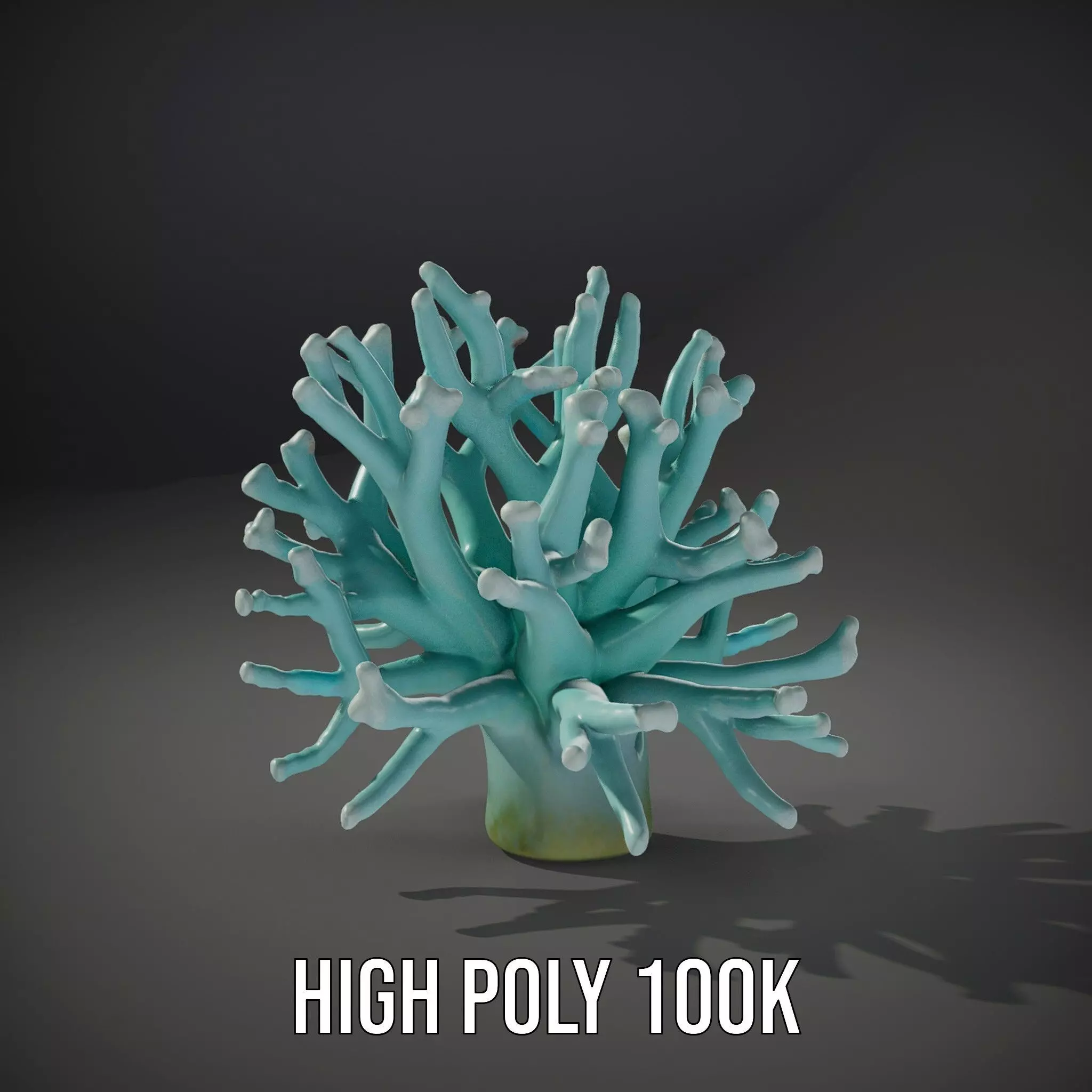 Mint Coral Reef model pack Low-poly 3D model_10