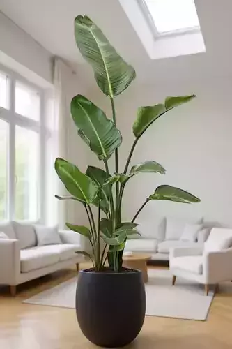 Tropical Plant Pot 3D Model Realistic Indoor Greenery Design