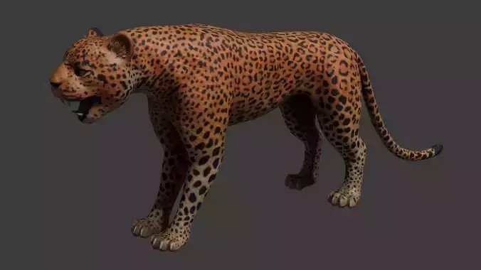 Leopard Rigged Optimized and Game Ready High Quality Mesh