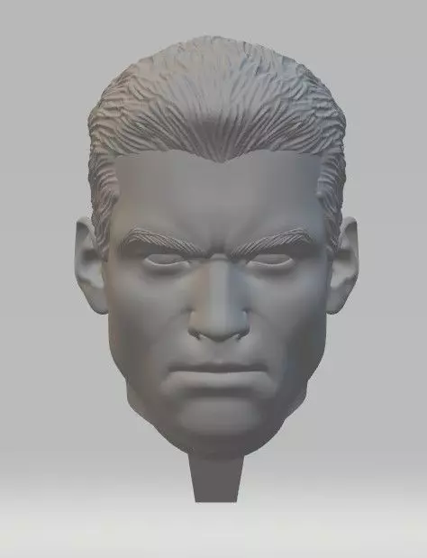 The Punisher Marvel Checchetto 3d model 3D print model_4