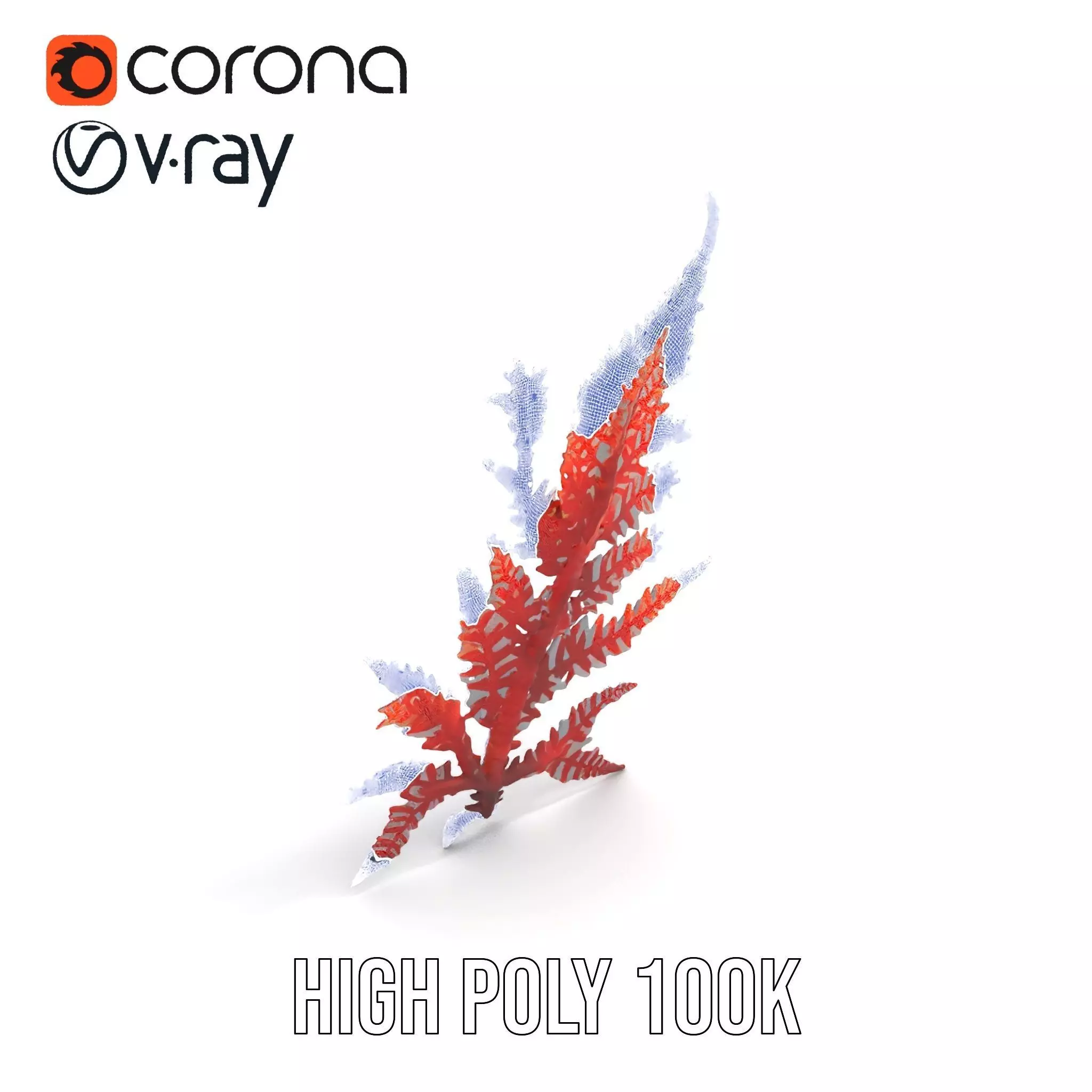 Red Fern model pack Low-poly 3D model_29