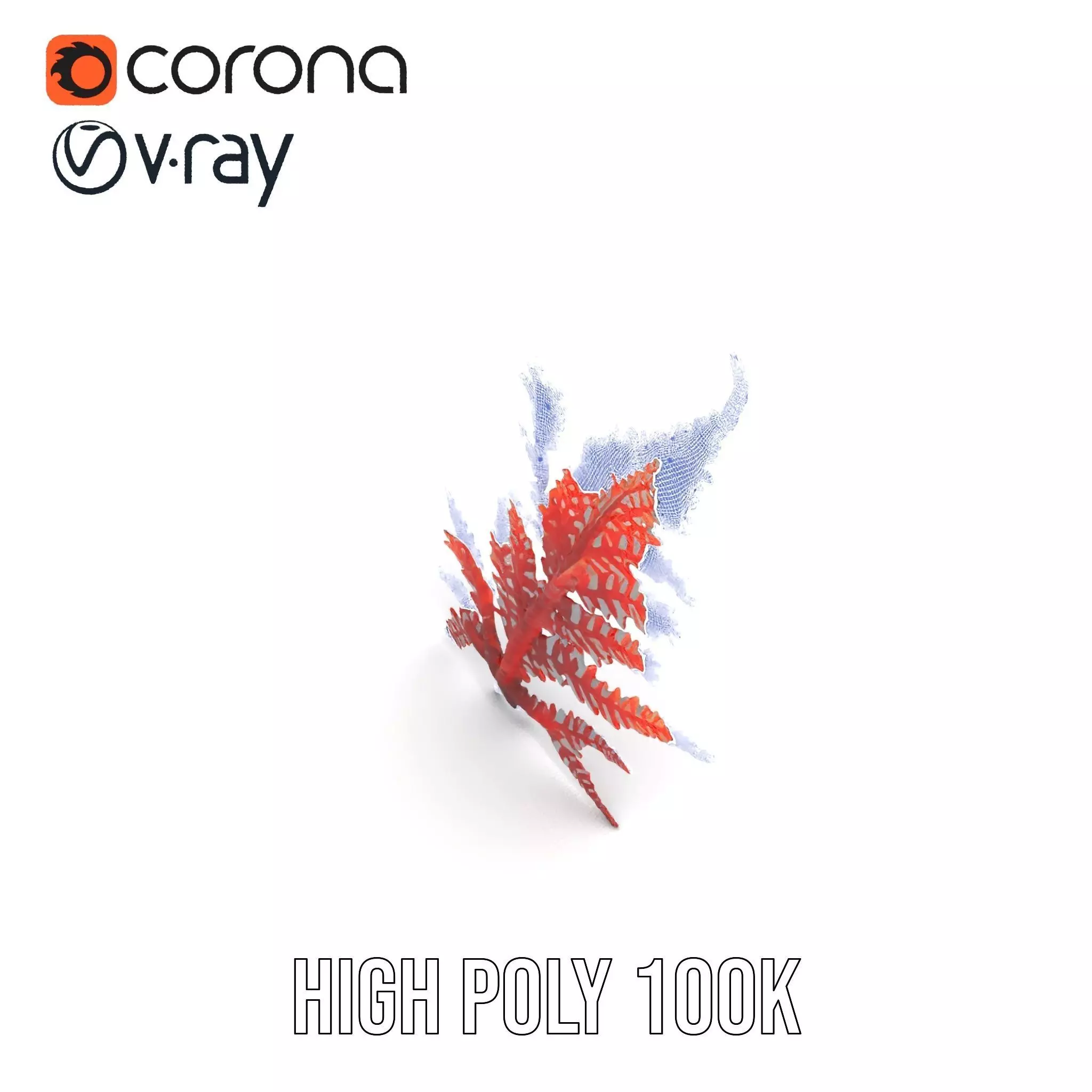 Red Fern model pack Low-poly 3D model_33