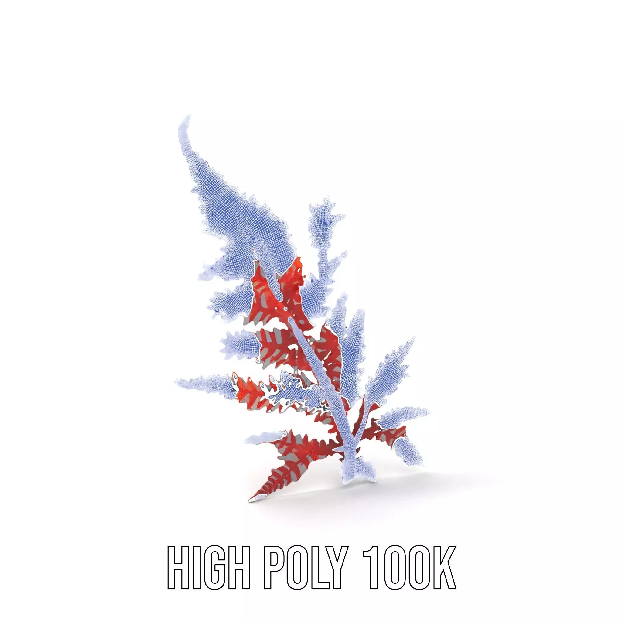 Red Fern model pack Low-poly 3D model_4