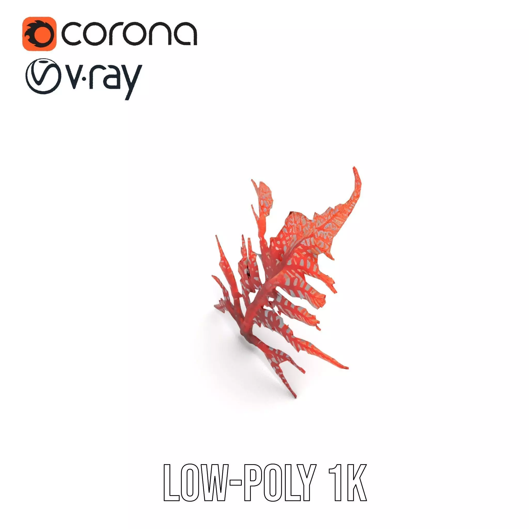 Red Fern model pack Low-poly 3D model_12