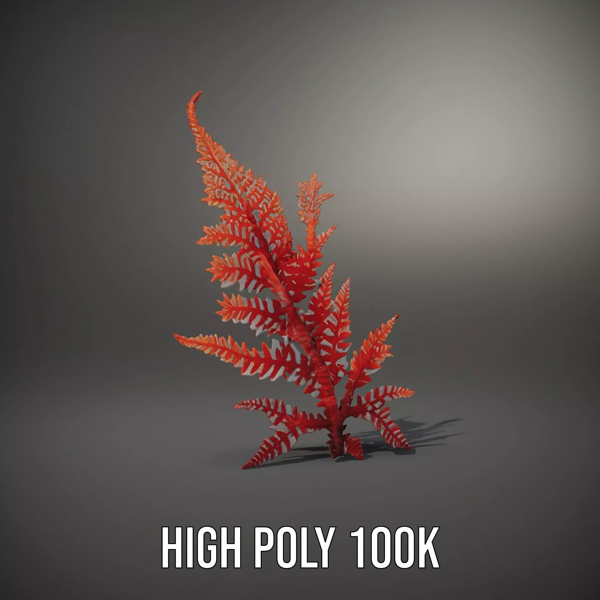 Red Fern model pack Low-poly 3D model_10