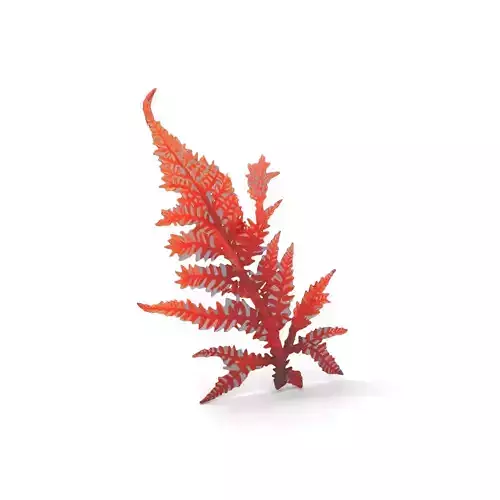 Red Fern model pack Low-poly 3D model