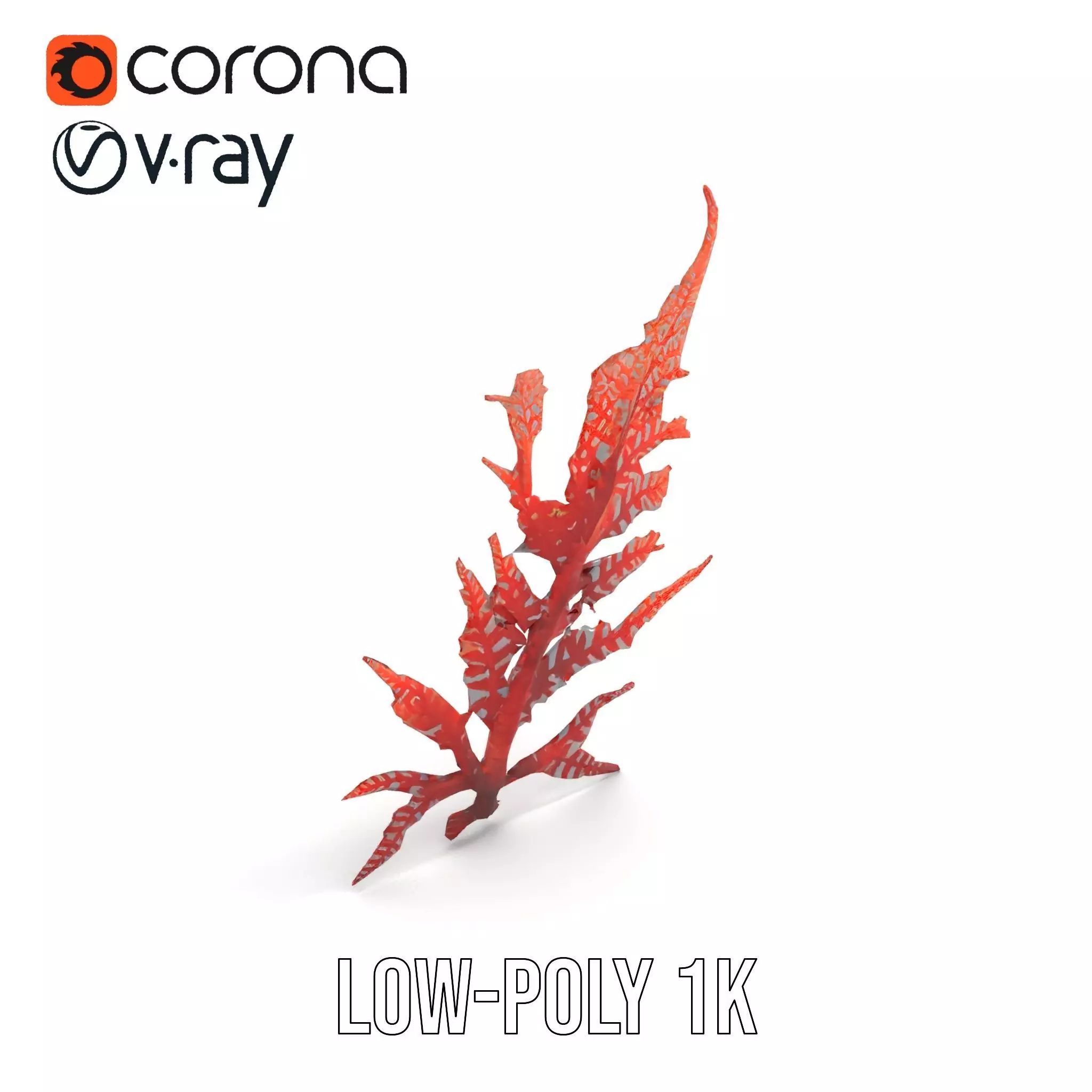 Red Fern model pack Low-poly 3D model_9