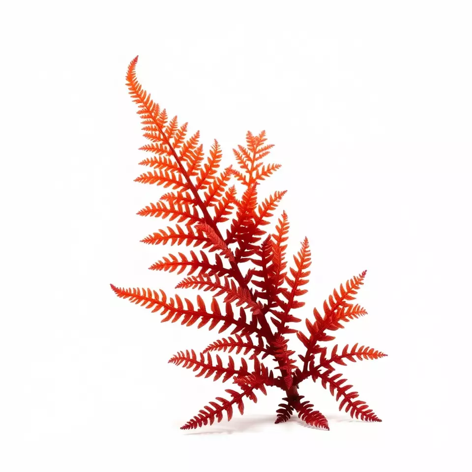 Red Fern model pack Low-poly 3D model_2