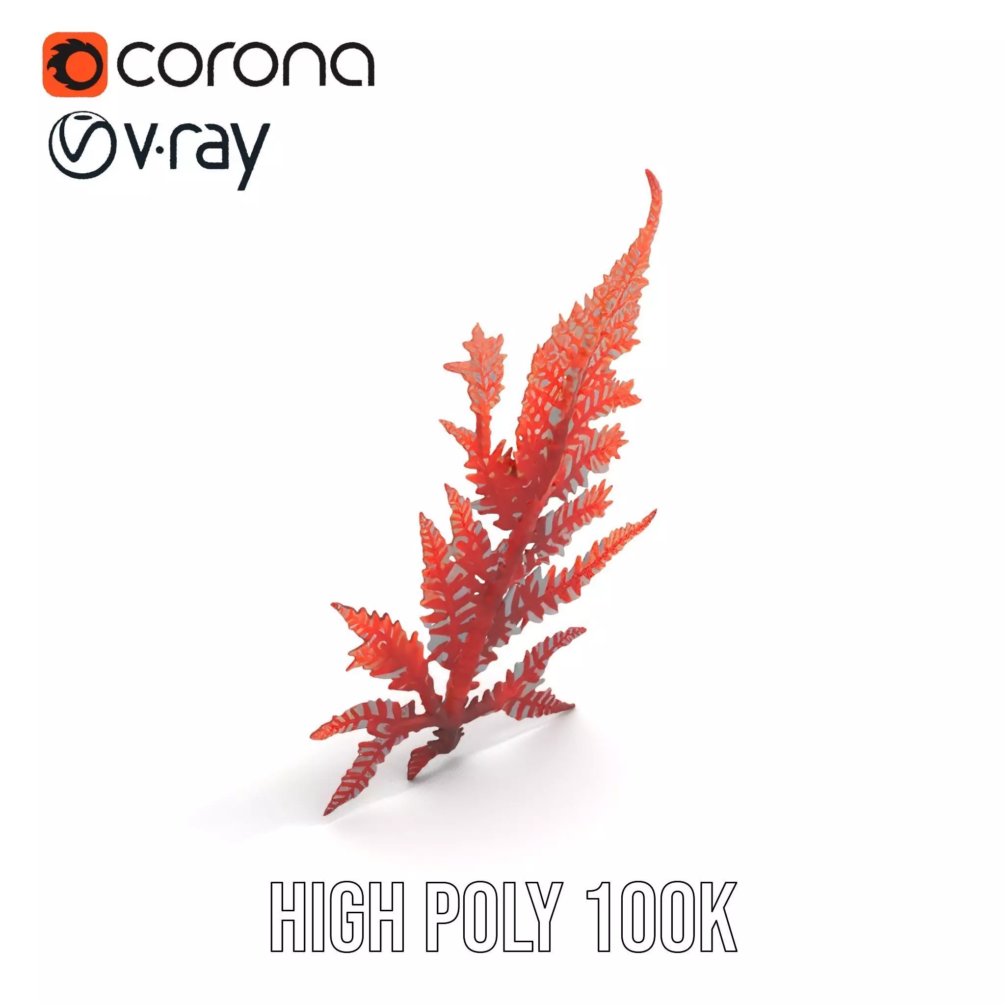 Red Fern model pack Low-poly 3D model_18