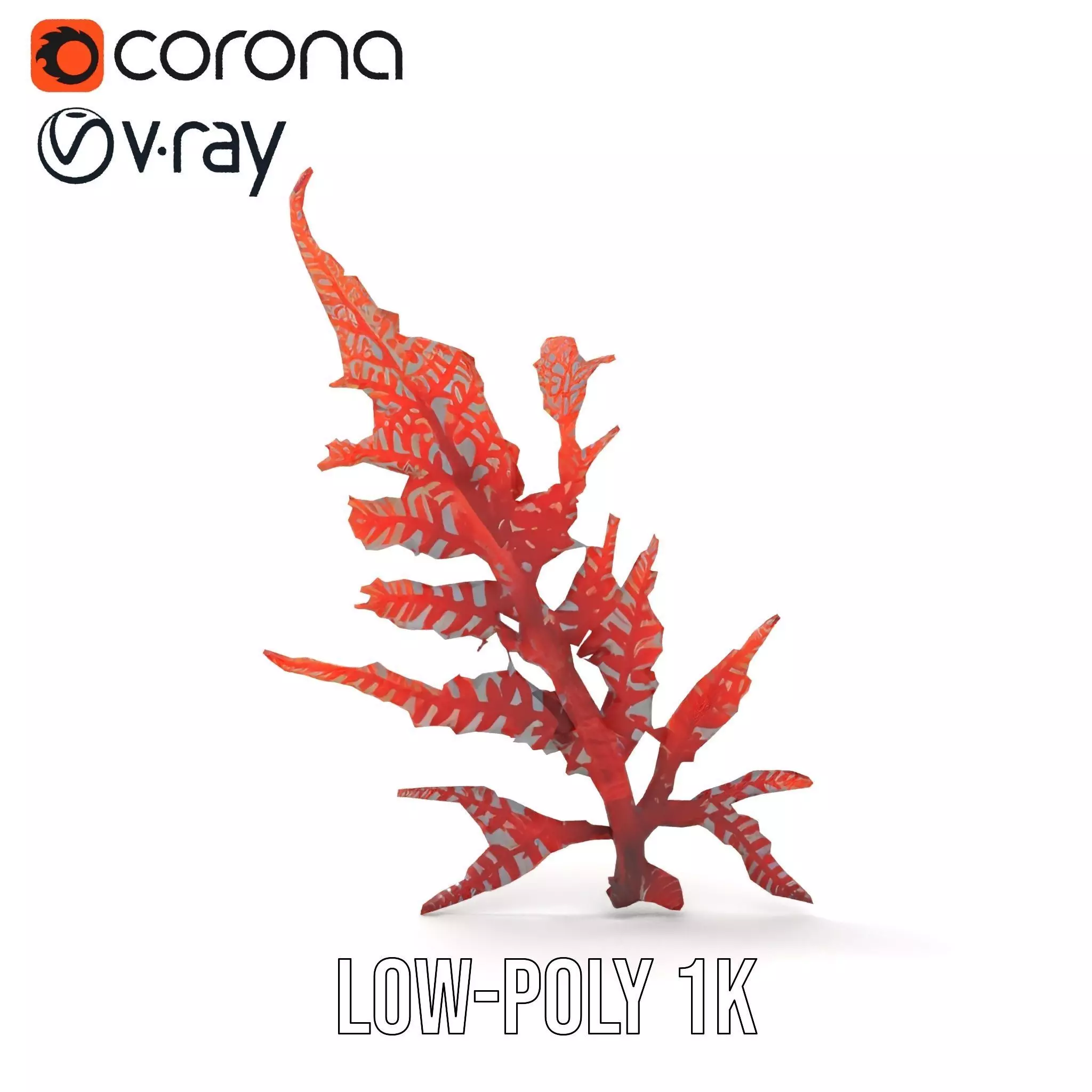 Red Fern model pack Low-poly 3D model_17