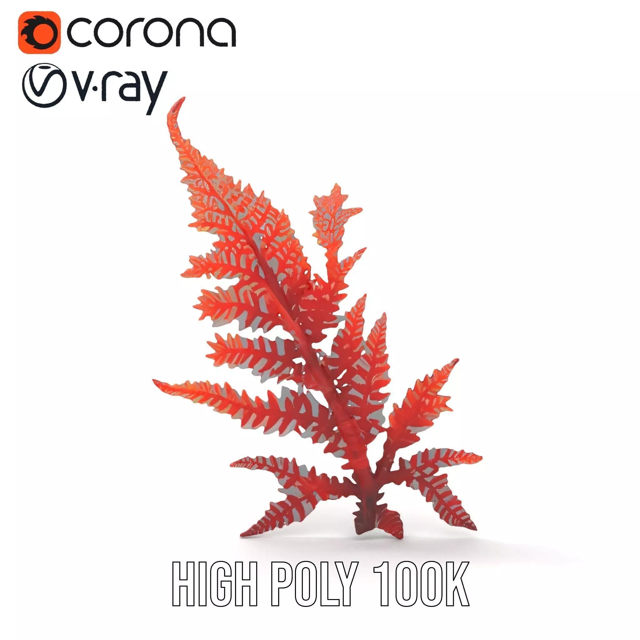 Red Fern model pack Low-poly 3D model_15