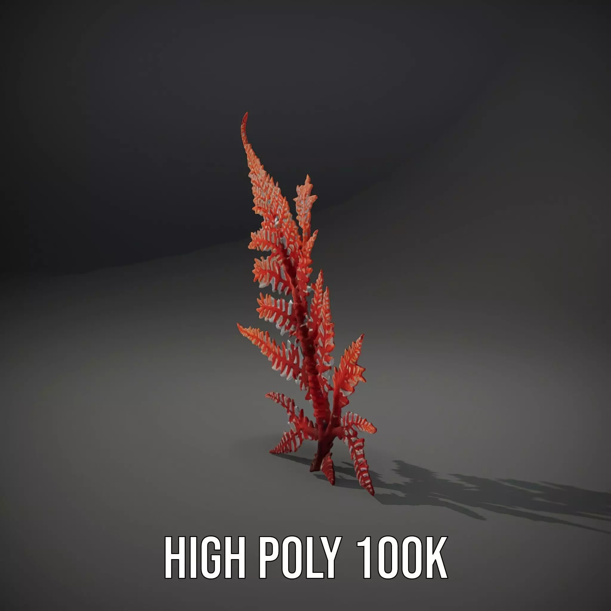 Red Fern model pack Low-poly 3D model_8