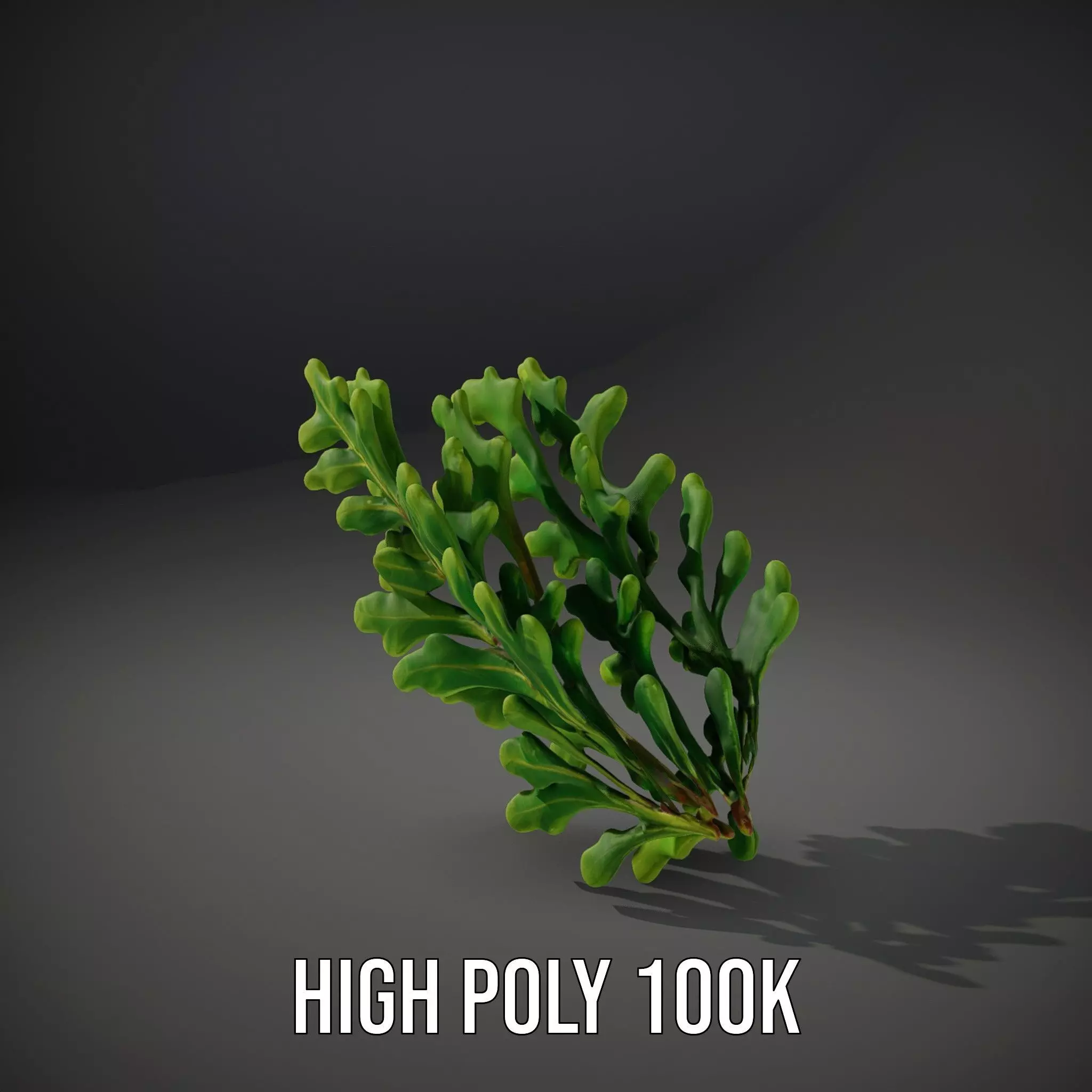 Green Oak Leaf model pack Low-poly 3D model_8