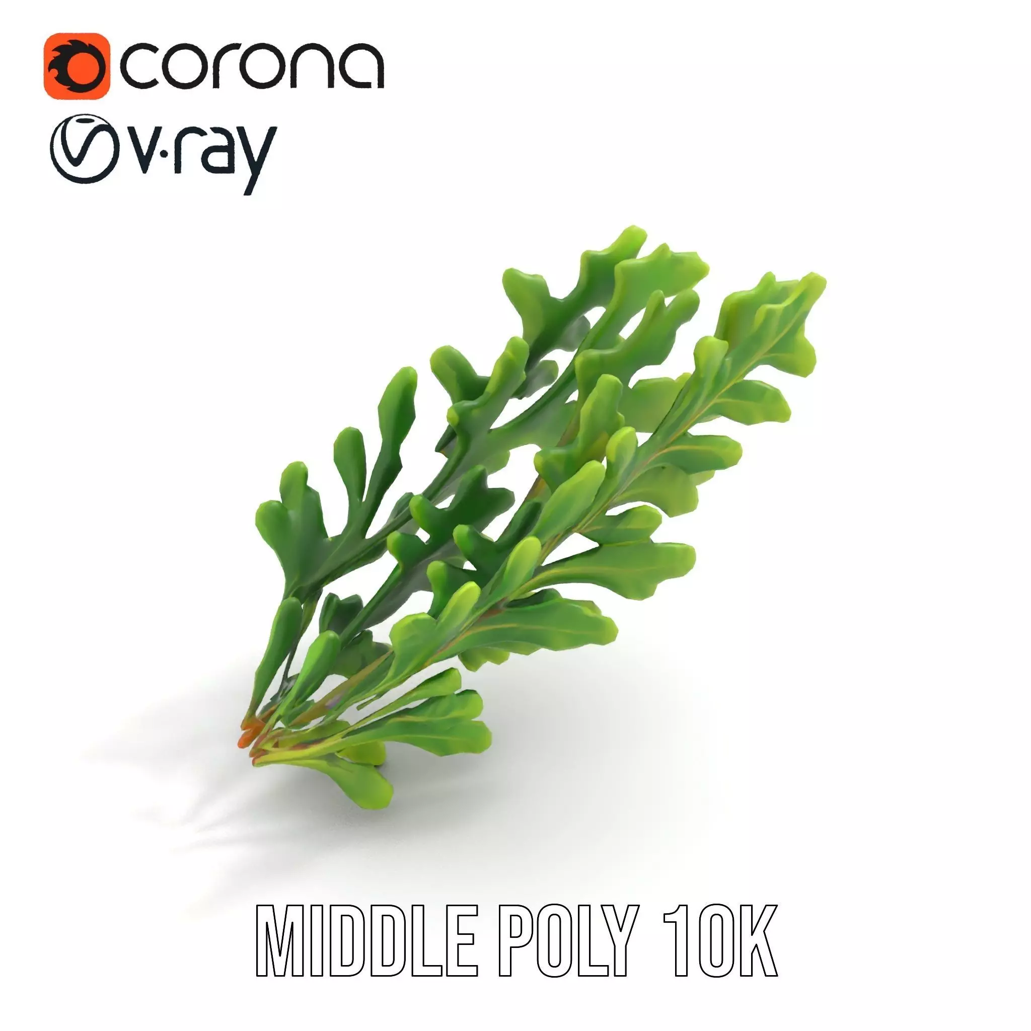 Green Oak Leaf model pack Low-poly 3D model_11