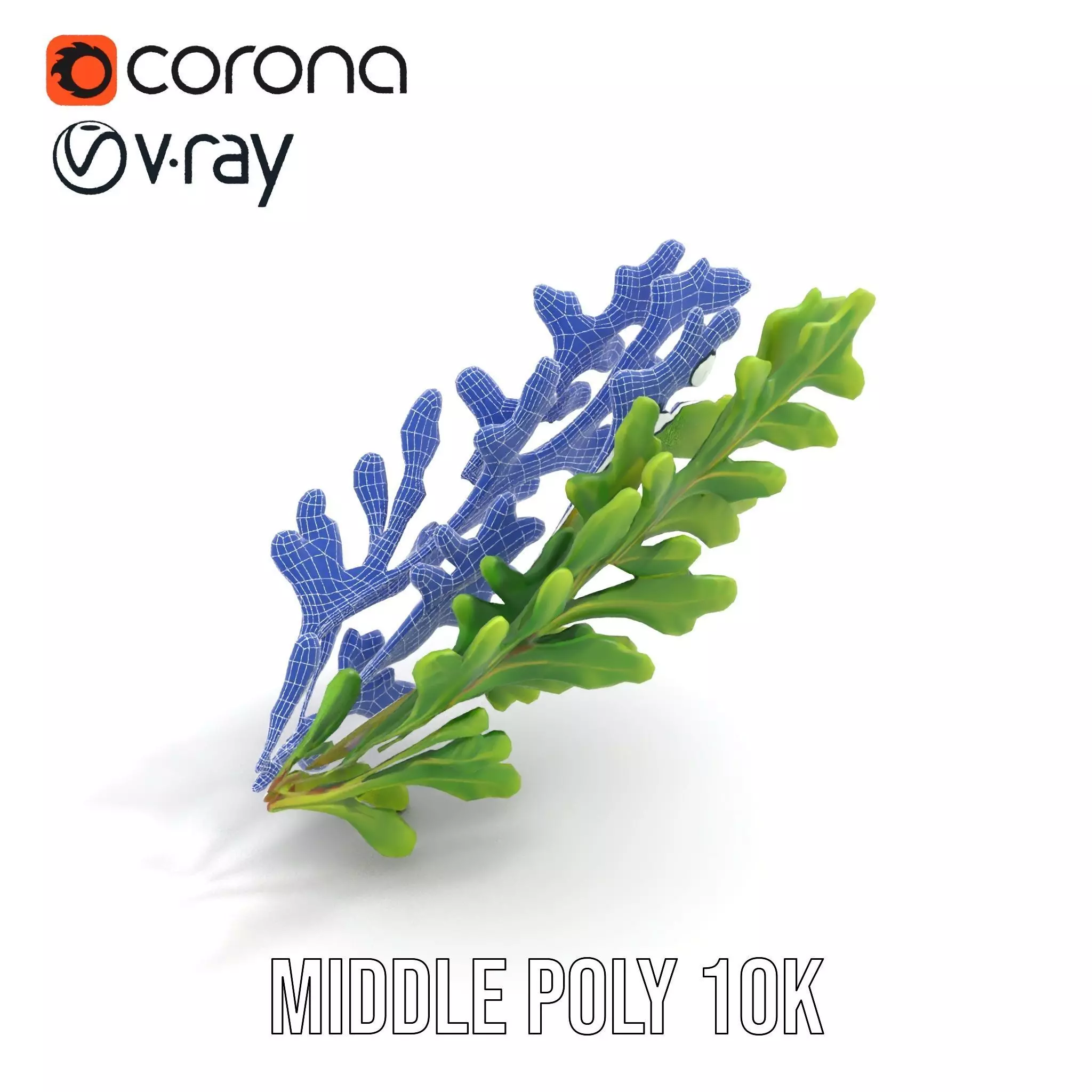 Green Oak Leaf model pack Low-poly 3D model_27