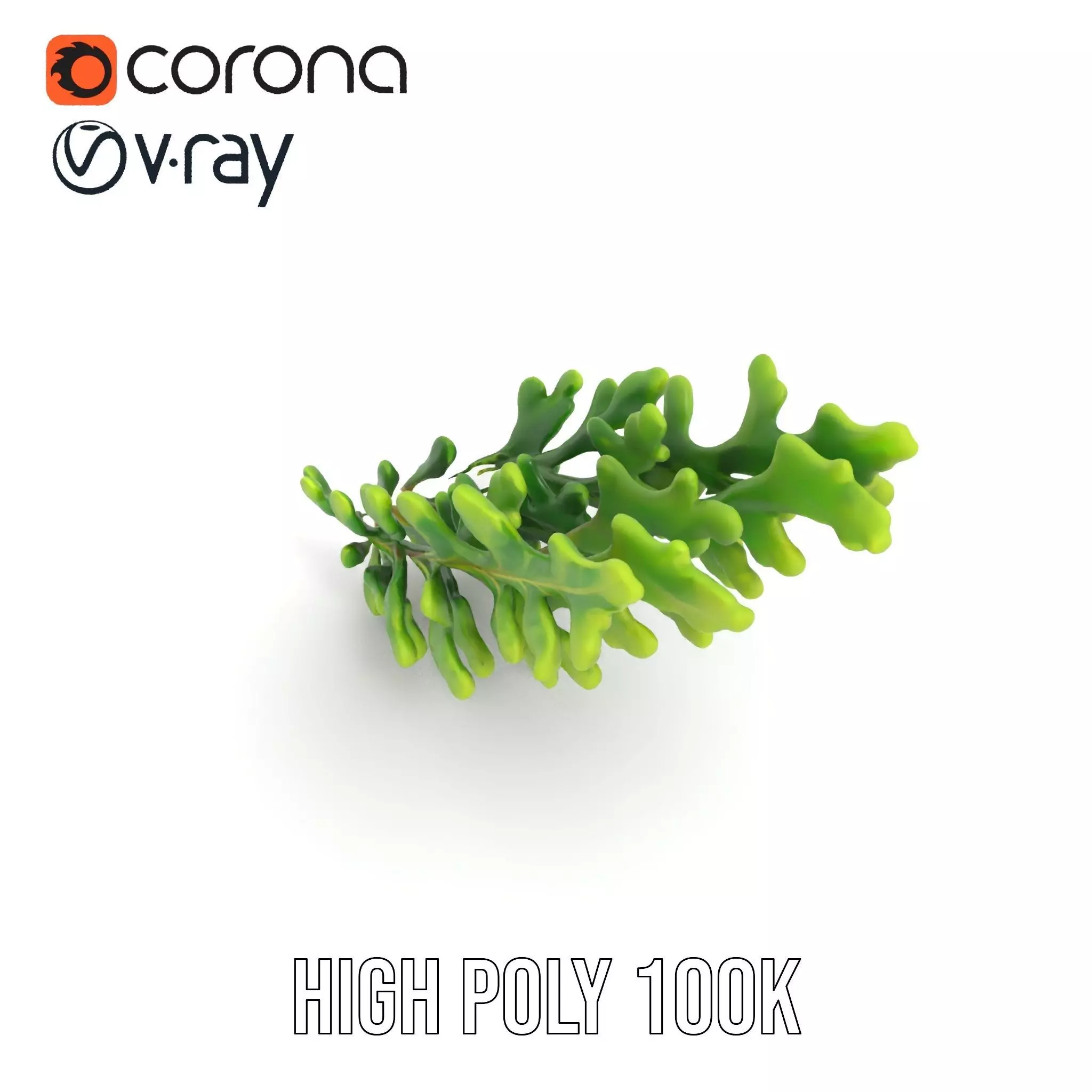 Green Oak Leaf model pack Low-poly 3D model_18