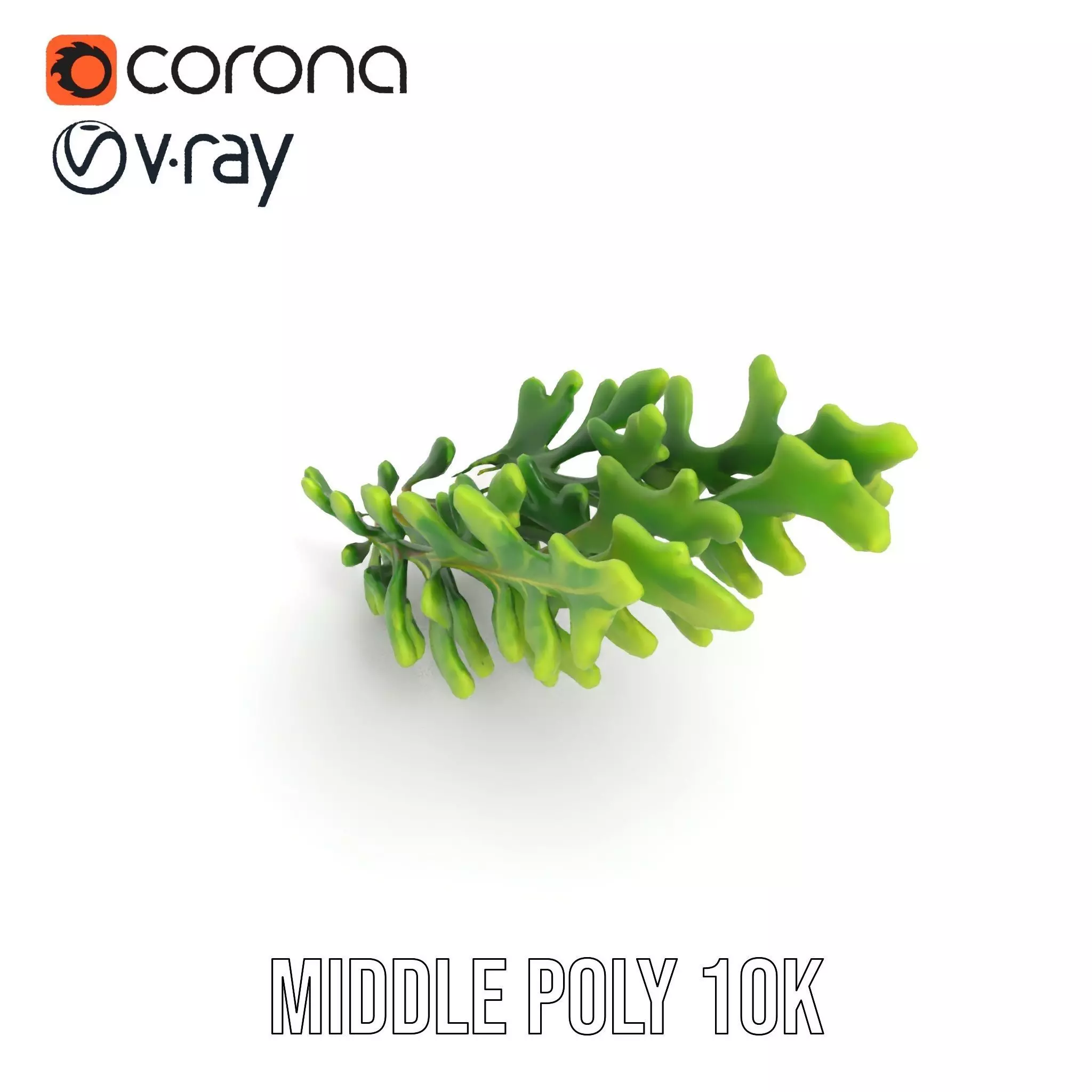 Green Oak Leaf model pack Low-poly 3D model_6