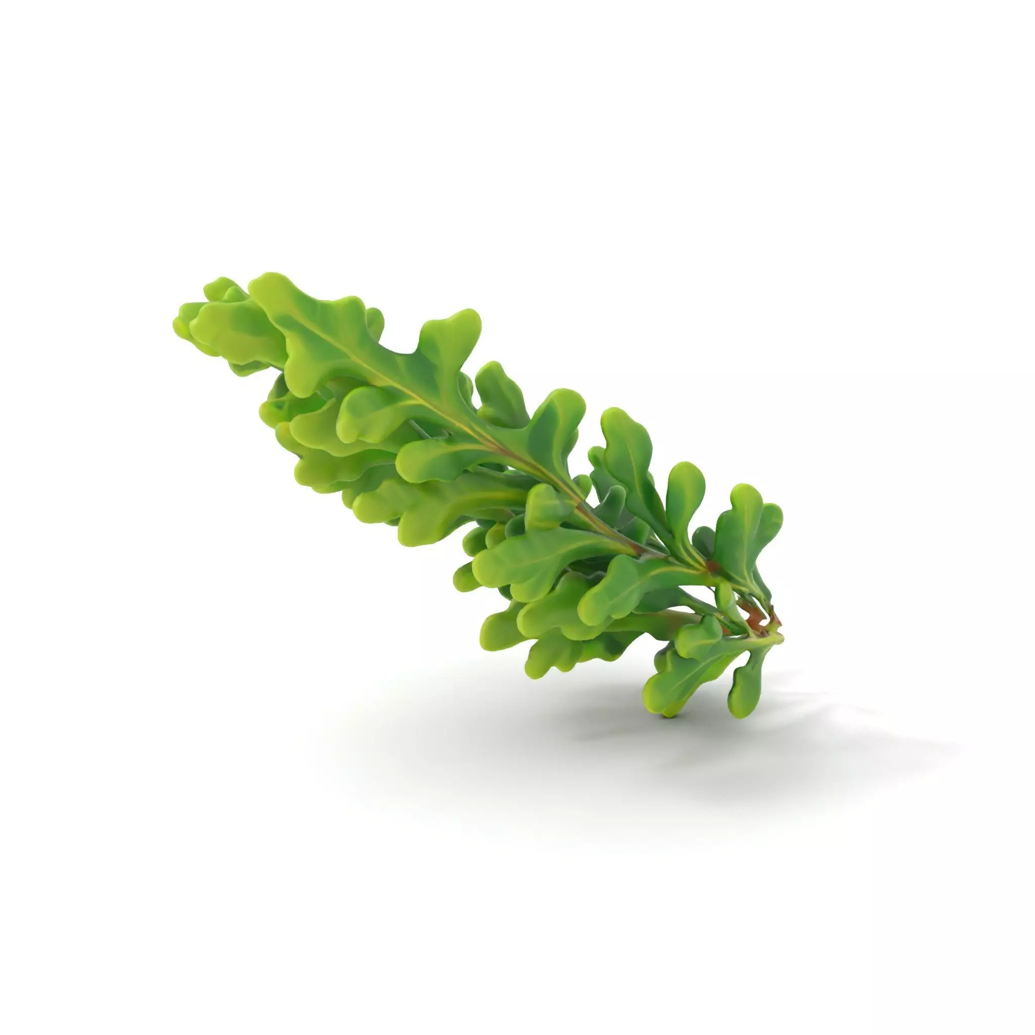 Green Oak Leaf model pack Low-poly 3D model_0